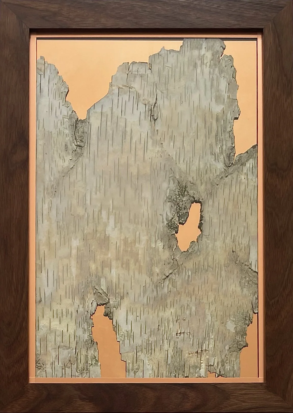 #5 Large white birch with copper framed in solid black walnut frame.  14.5" x 20.5"   $475
  Local pickup/drop off only!  Too big to ship at a reasonable price.