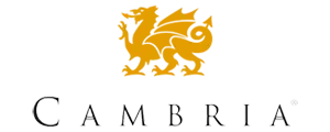 The Cambridge logo featuring a gold lion and the word 'Cambridge' underneath.