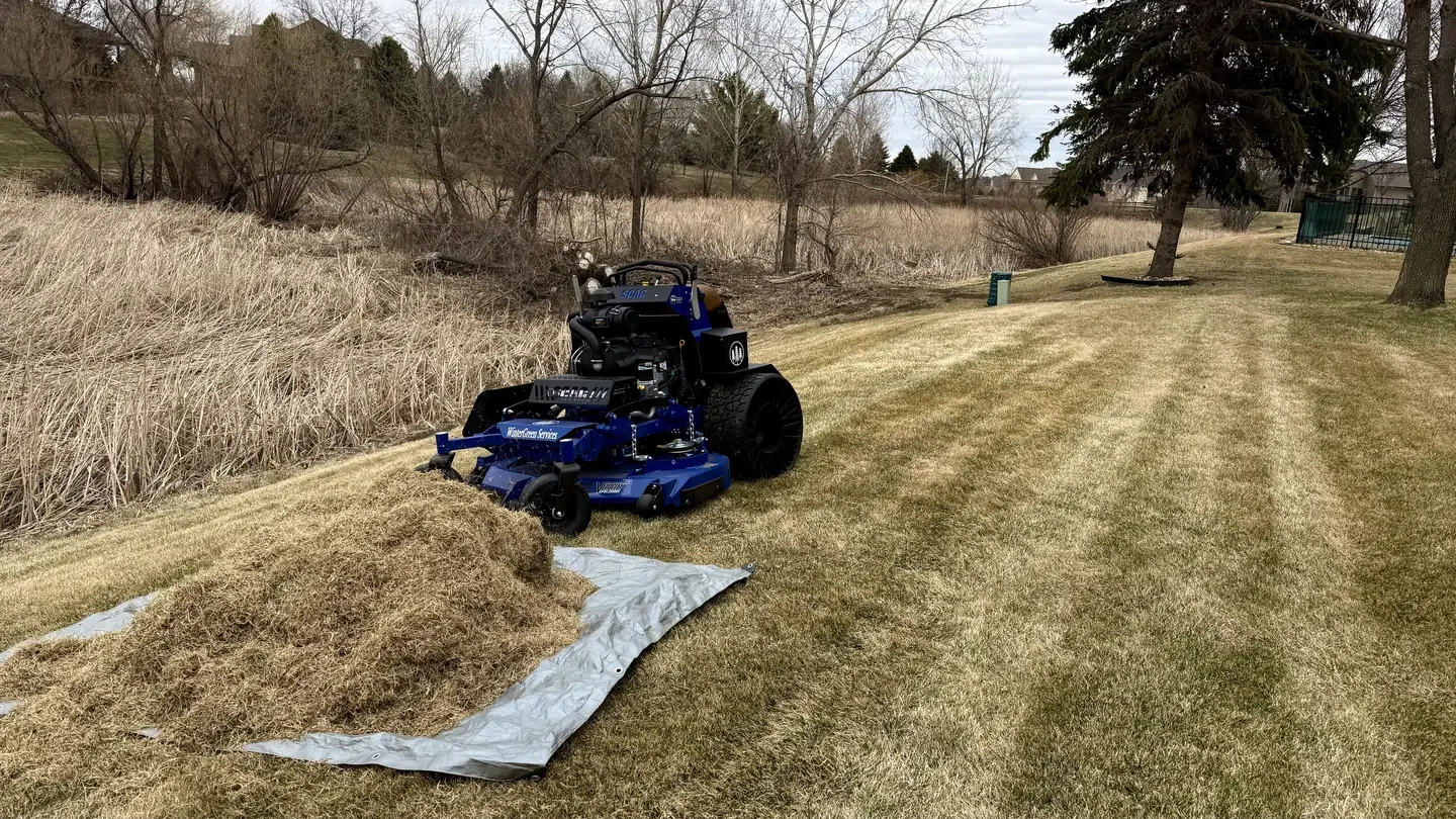 Mower beside a large pile of raked thatch on a tarp during an early spring dethatching job