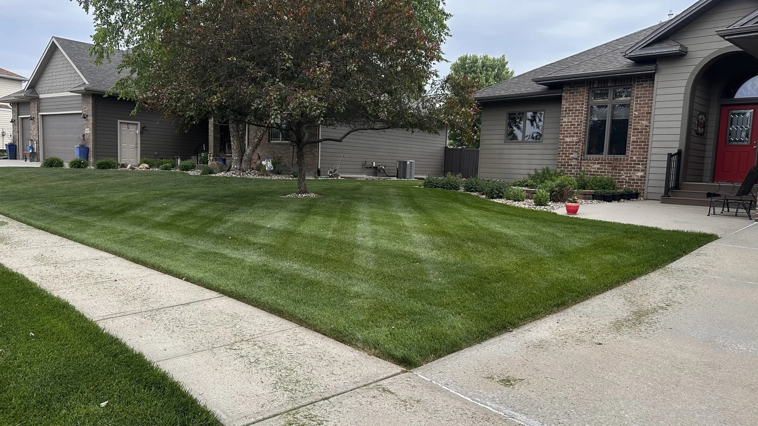 A well-maintained front yard with green grass, a tree, and neighboring houses in a suburban neighborhood.