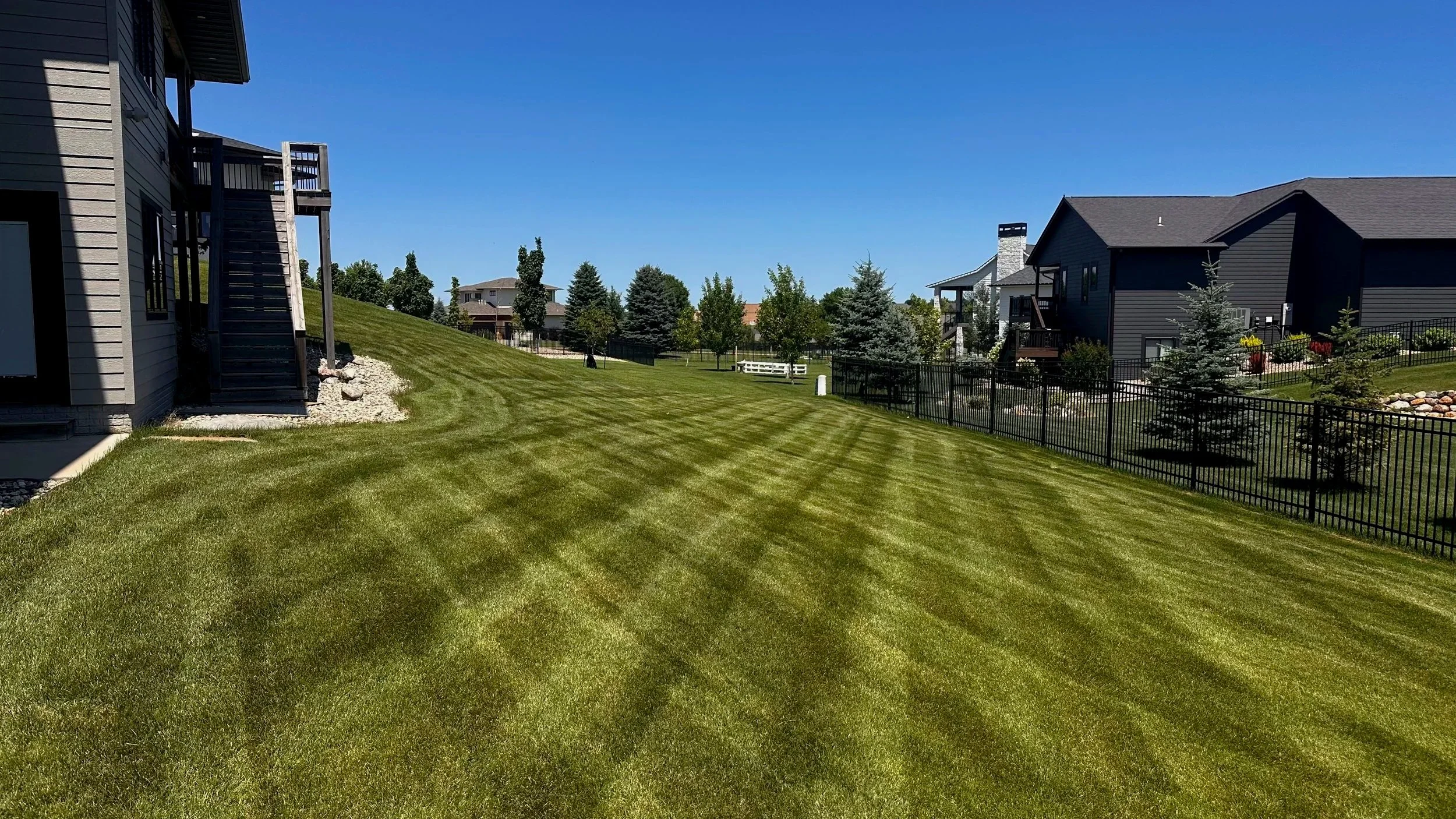 A well-maintained grassy backyard with striped lawn, adjacent to houses with dark siding, and decorated with small trees and shrubs, under a clear blue sky.