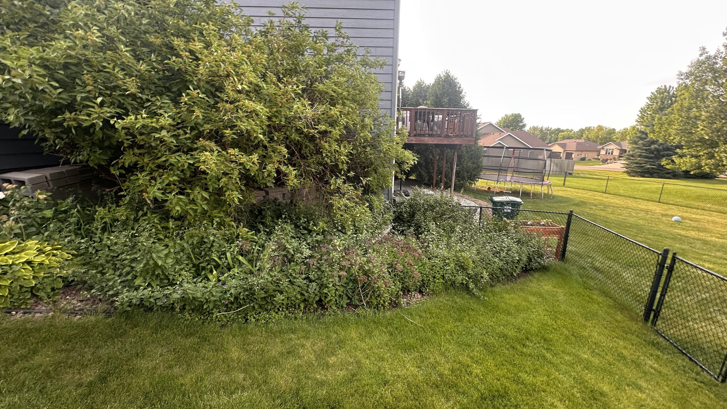 A backyard with a green lawn, a black metal fence, a garden bed with various shrubs and plants, a wooden deck with a staircase, a trampoline, a soccer ball, and neighboring houses in the background.