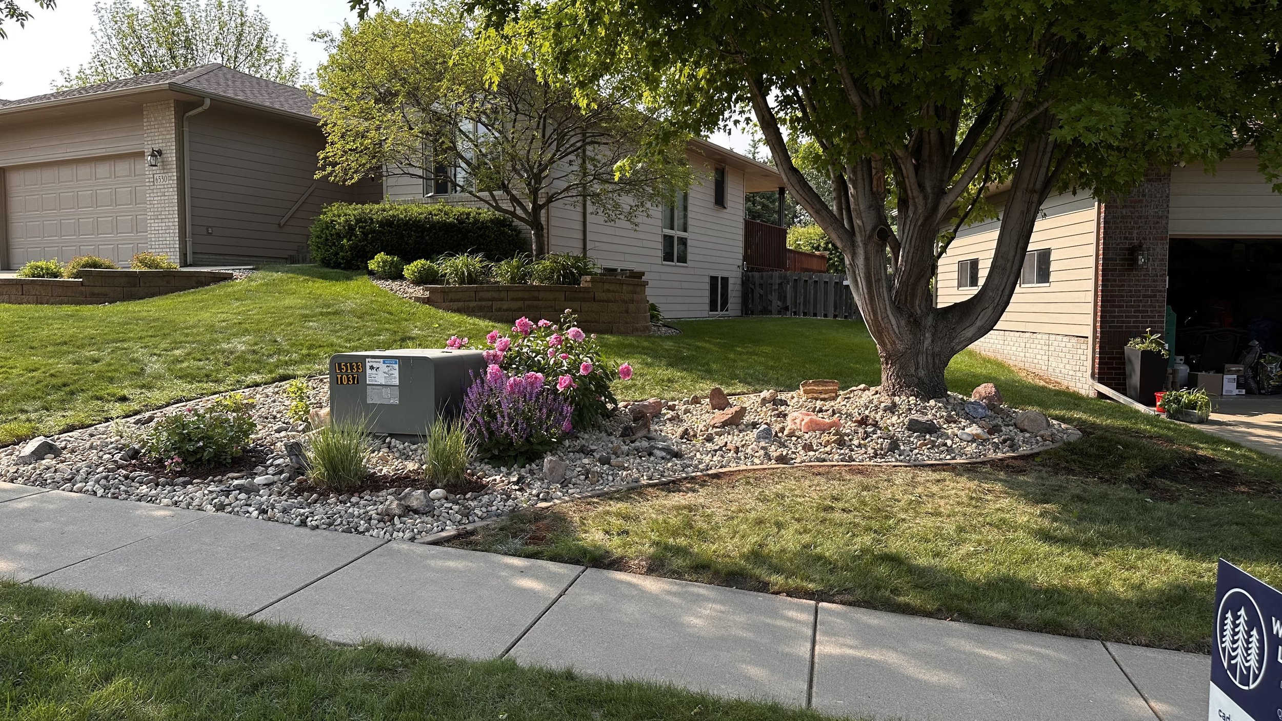 Front yard with a large tree, flowering bushes, rock landscaping, a mailbox, a sidewalk, and houses in the background.