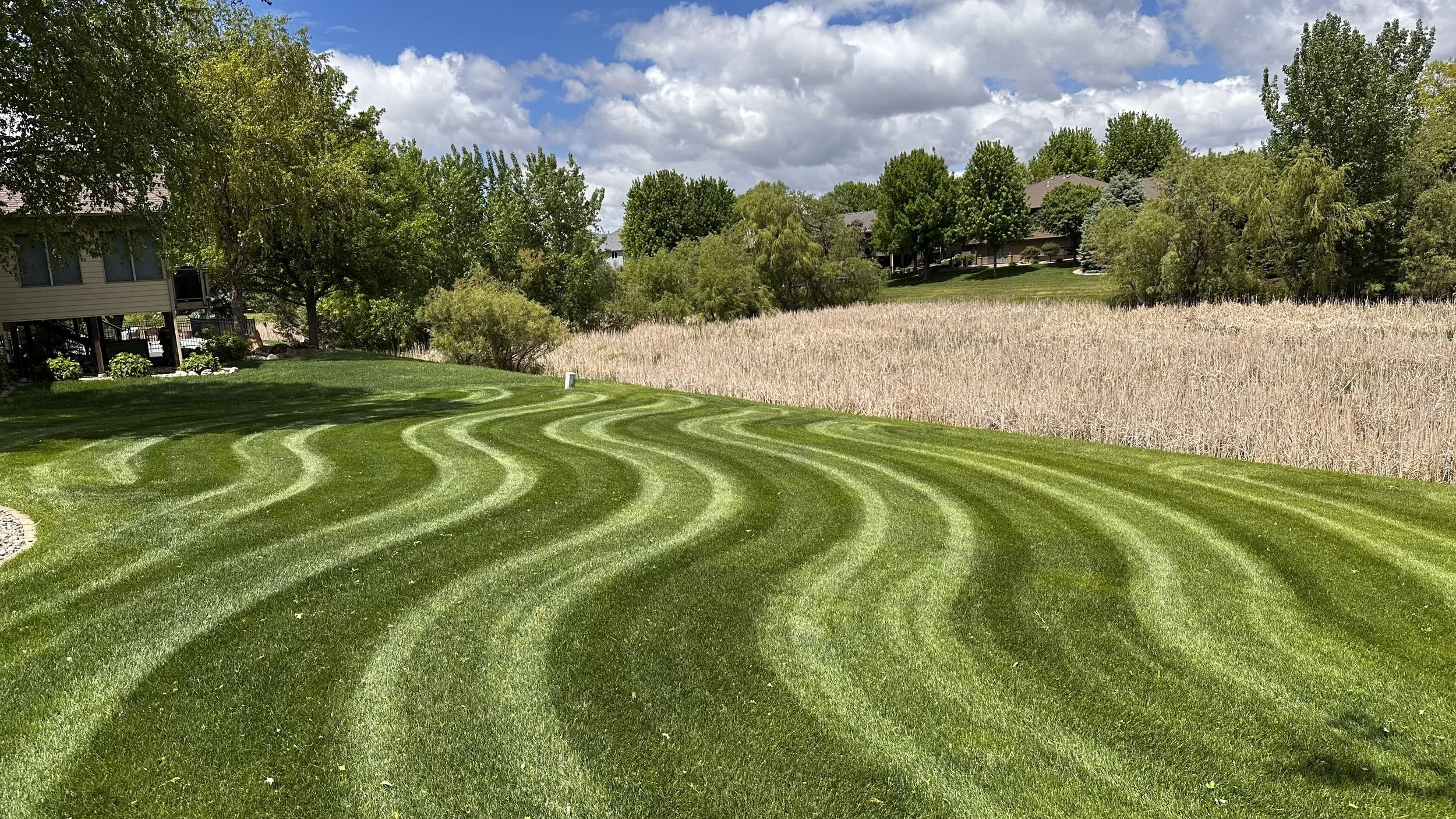 Freshly mowed green lawn with curved pattern, next to a field of tall beige grass, surrounded by trees, under a partly cloudy blue sky.