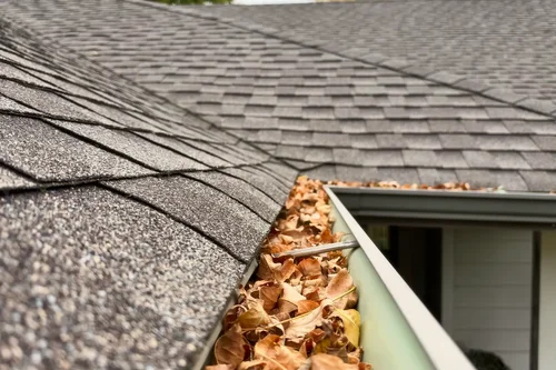 Gutter packed with fallen leaves along a roofline