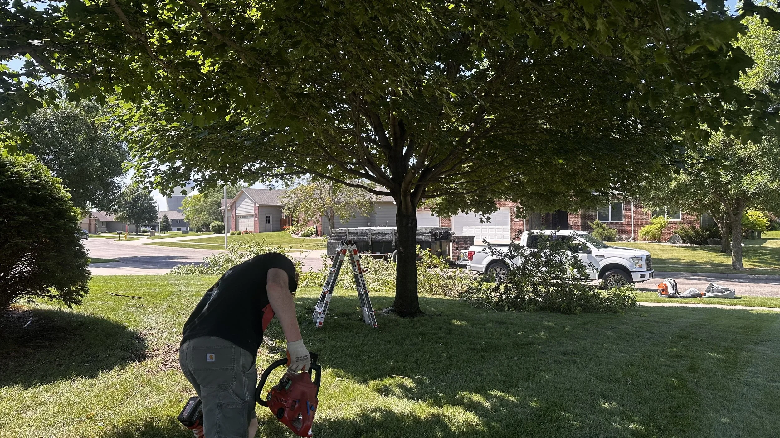 A person using a chainsaw under a large tree in a residential front yard with trimmed bushes, houses, and parked vehicles in the background.