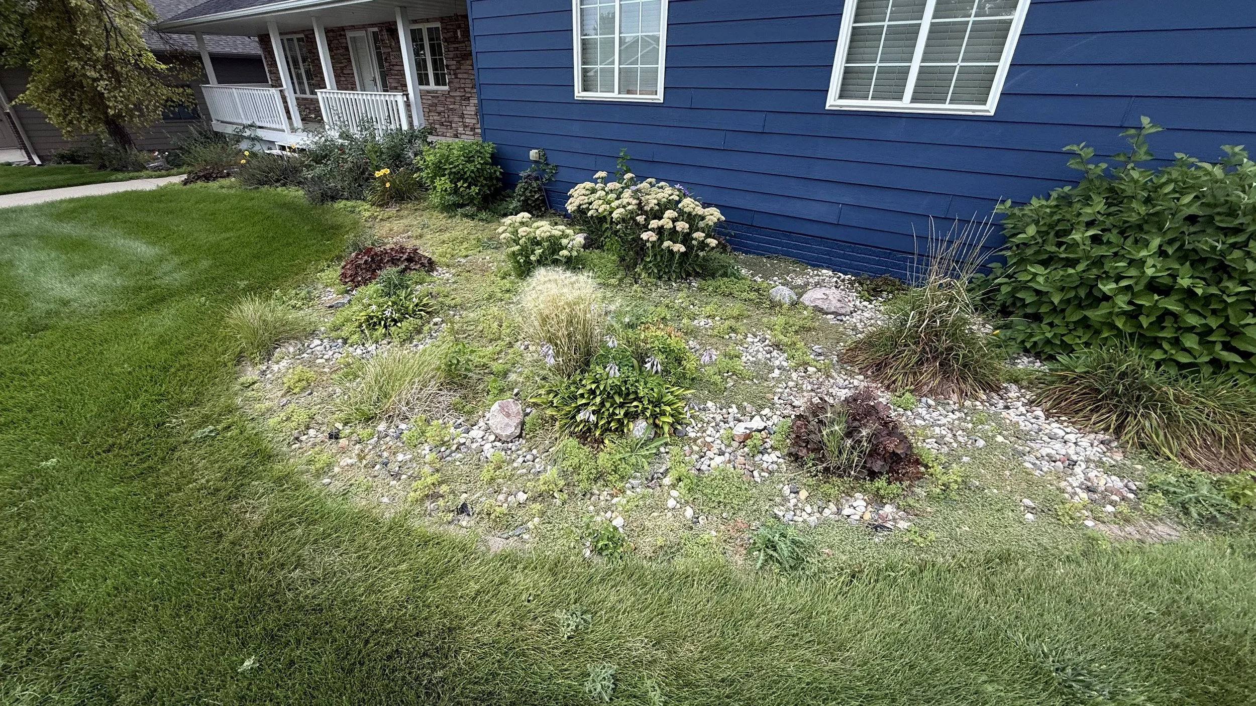A landscaped garden bed next to a blue house with white trim and window frames, containing various plants, shrubs, and flowers, surrounded by a well-maintained lawn.