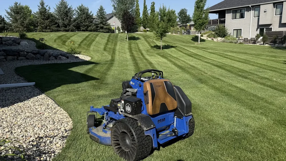 Thick, healthy striped lawn beside a rock landscape bed