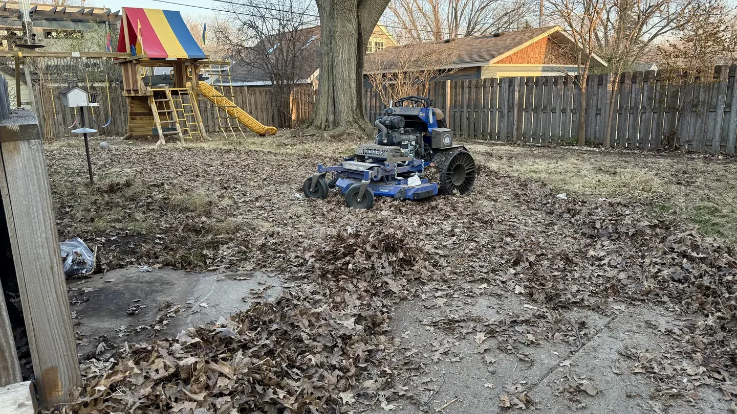 Mower clearing a thick layer of fallen oak leaves from a fenced backyard