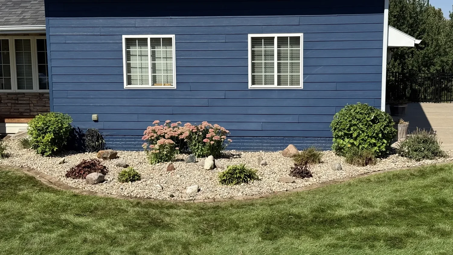 Rock bed with pink sedum, ornamental grasses and boulders along the side of a navy blue house