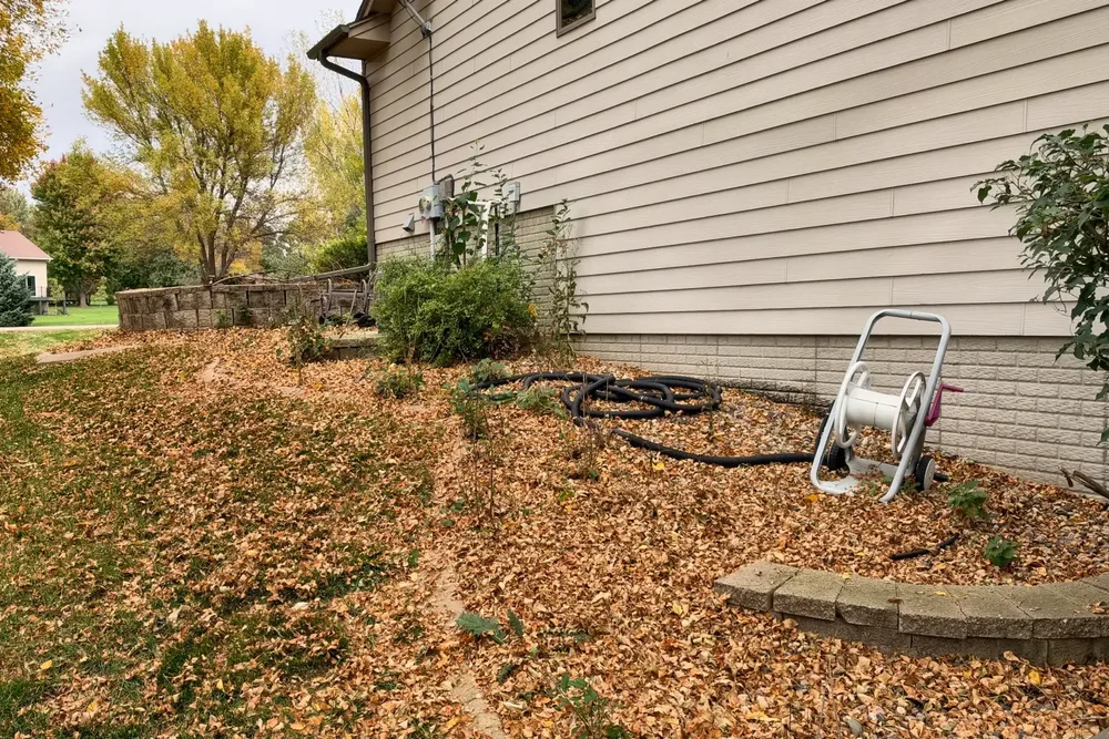 Landscape bed along a house buried in fallen leaves before a fall cleanup