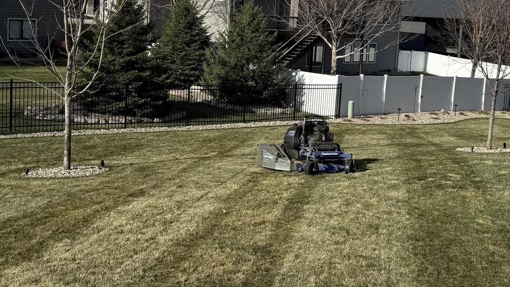 Mower with bagger on a cleared lawn beside newer homes and fencing