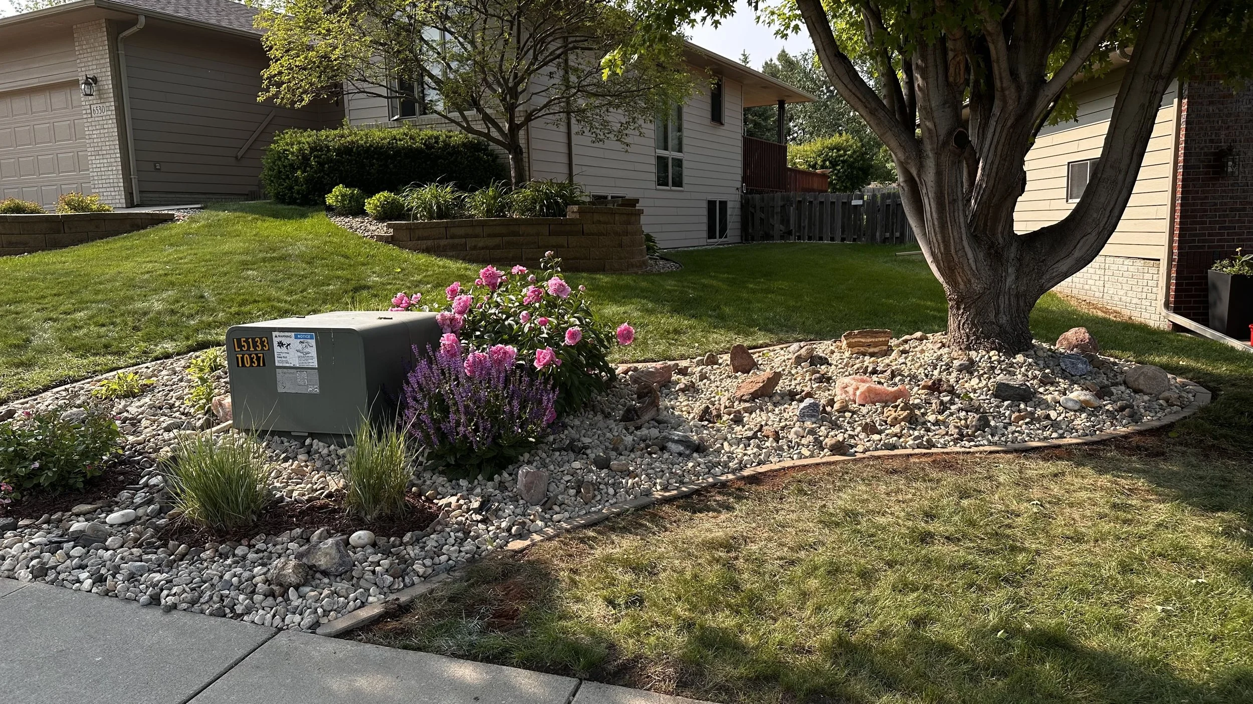 Front yard with a large tree, pink and purple flowers, a small rocky garden bed, and a utility box, with a house and a garage in the background.