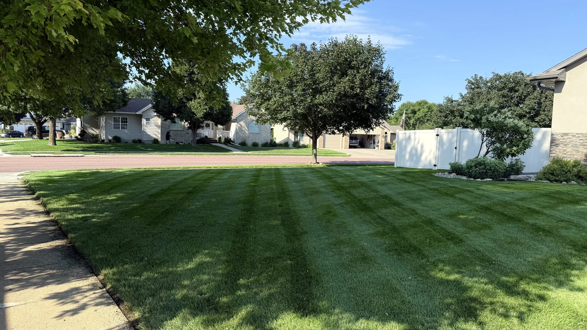 A well-maintained lawn with fresh green grass, shaded by trees, in a suburban neighborhood on a sunny day. Houses and a white fence are visible in the background.