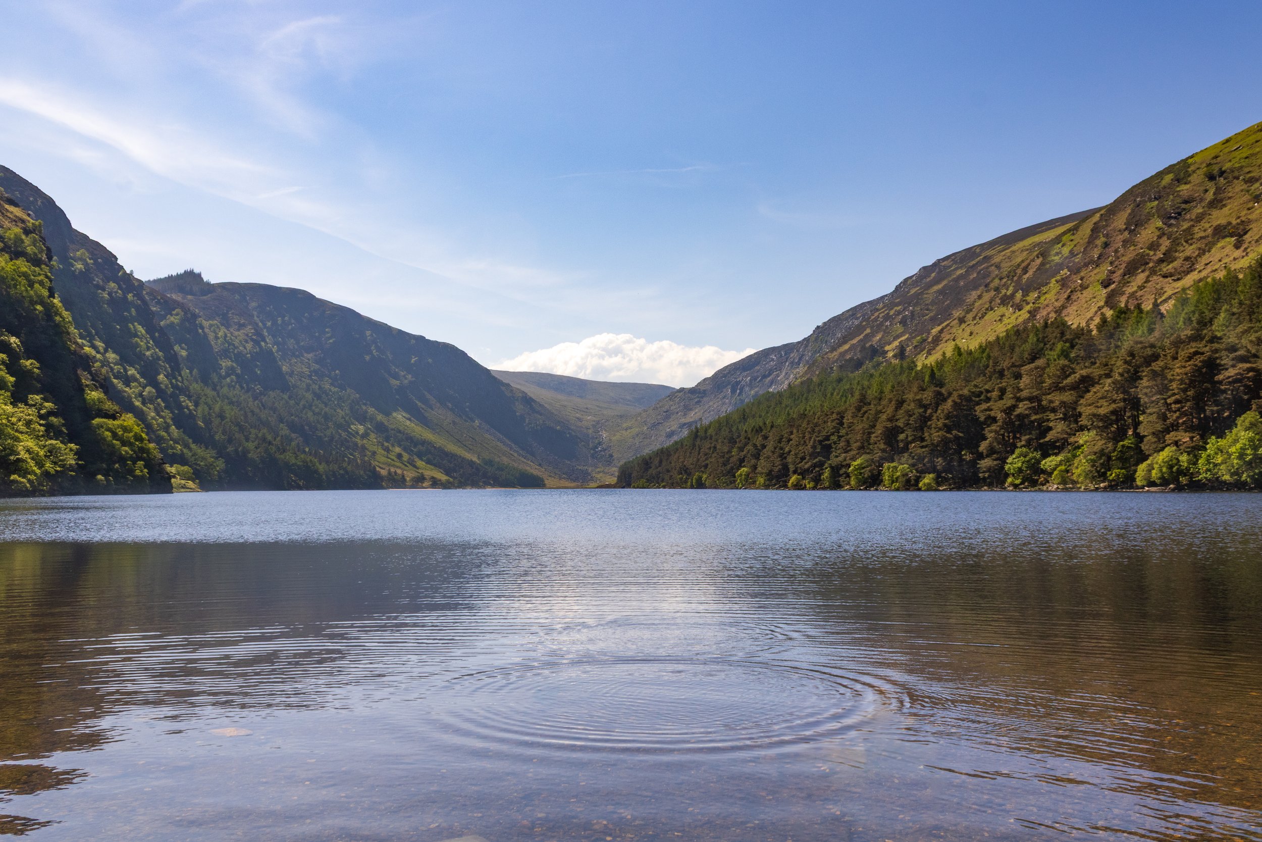 Wicklow MaddieM-1872.jpg