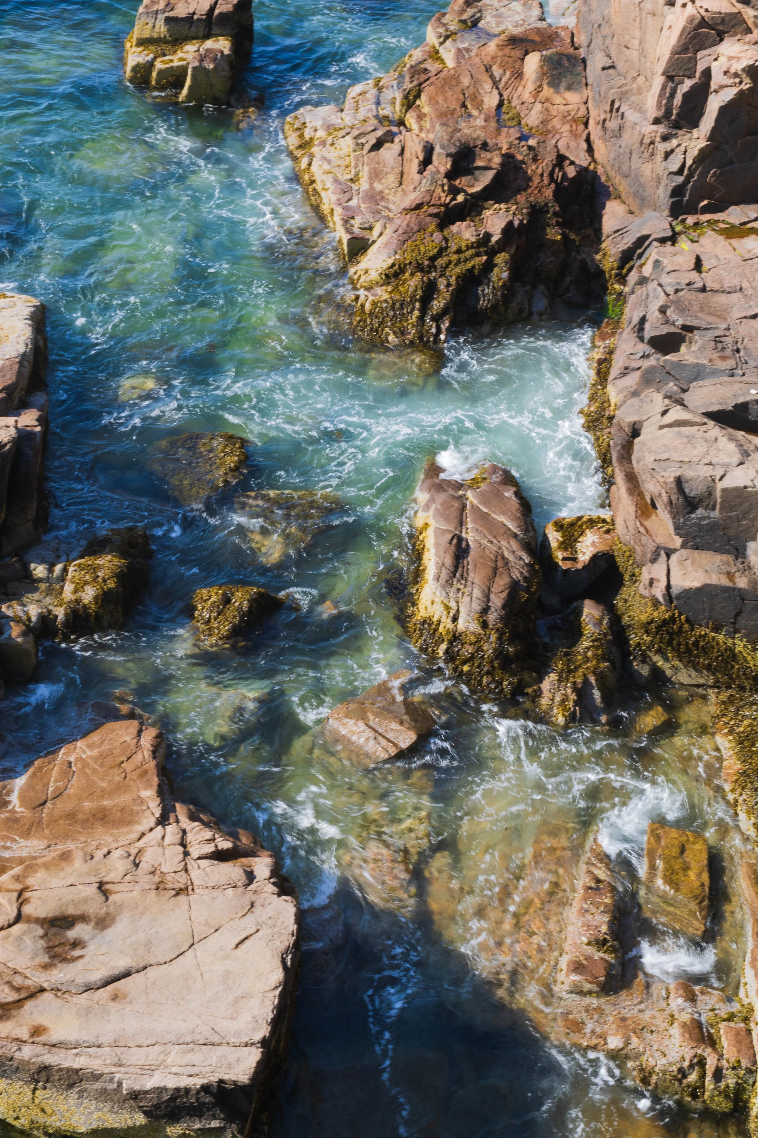 mamarco20240714648 2.jpg