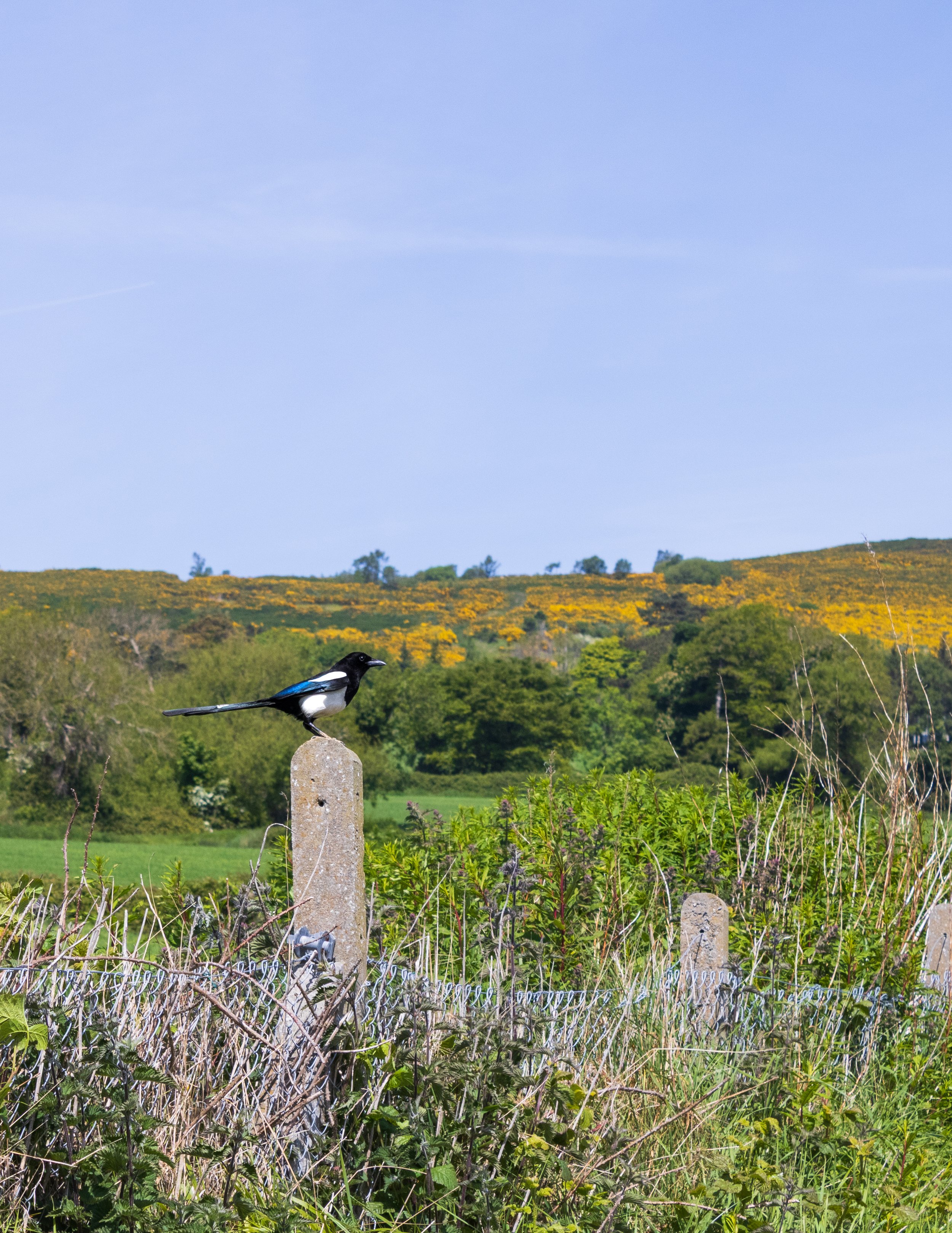 Cliff Hike MaddieM-1991.jpg