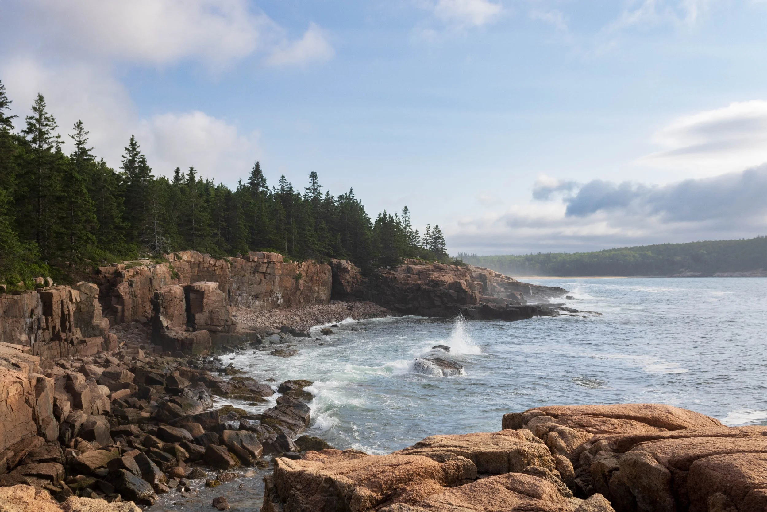 mamarco20240716253 2.jpg