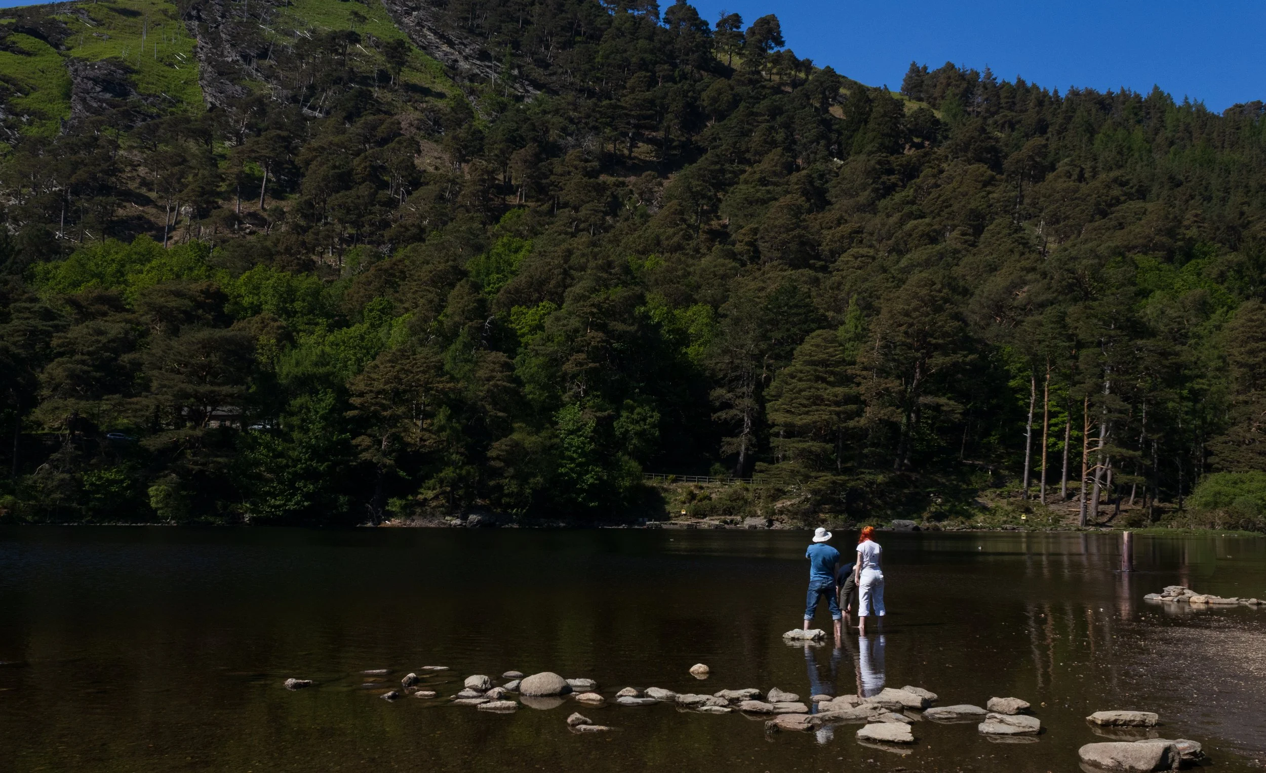 Wicklow MaddieM-1886.jpg