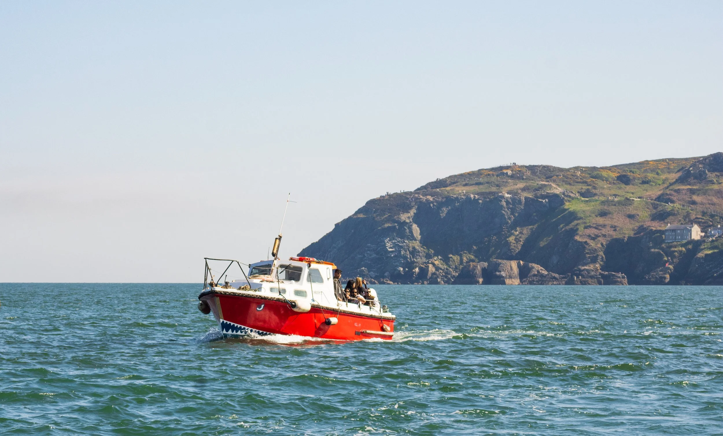 Howth MaddieM-1572.jpg