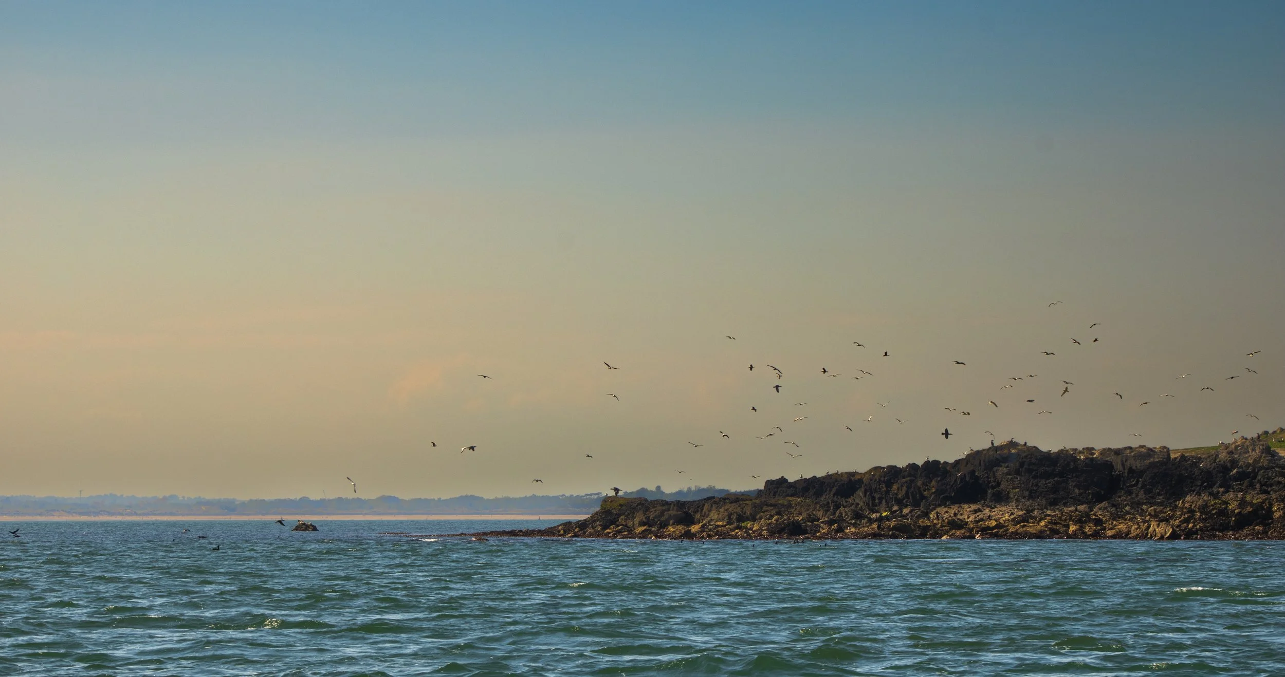 Howth MaddieM-1564.jpg