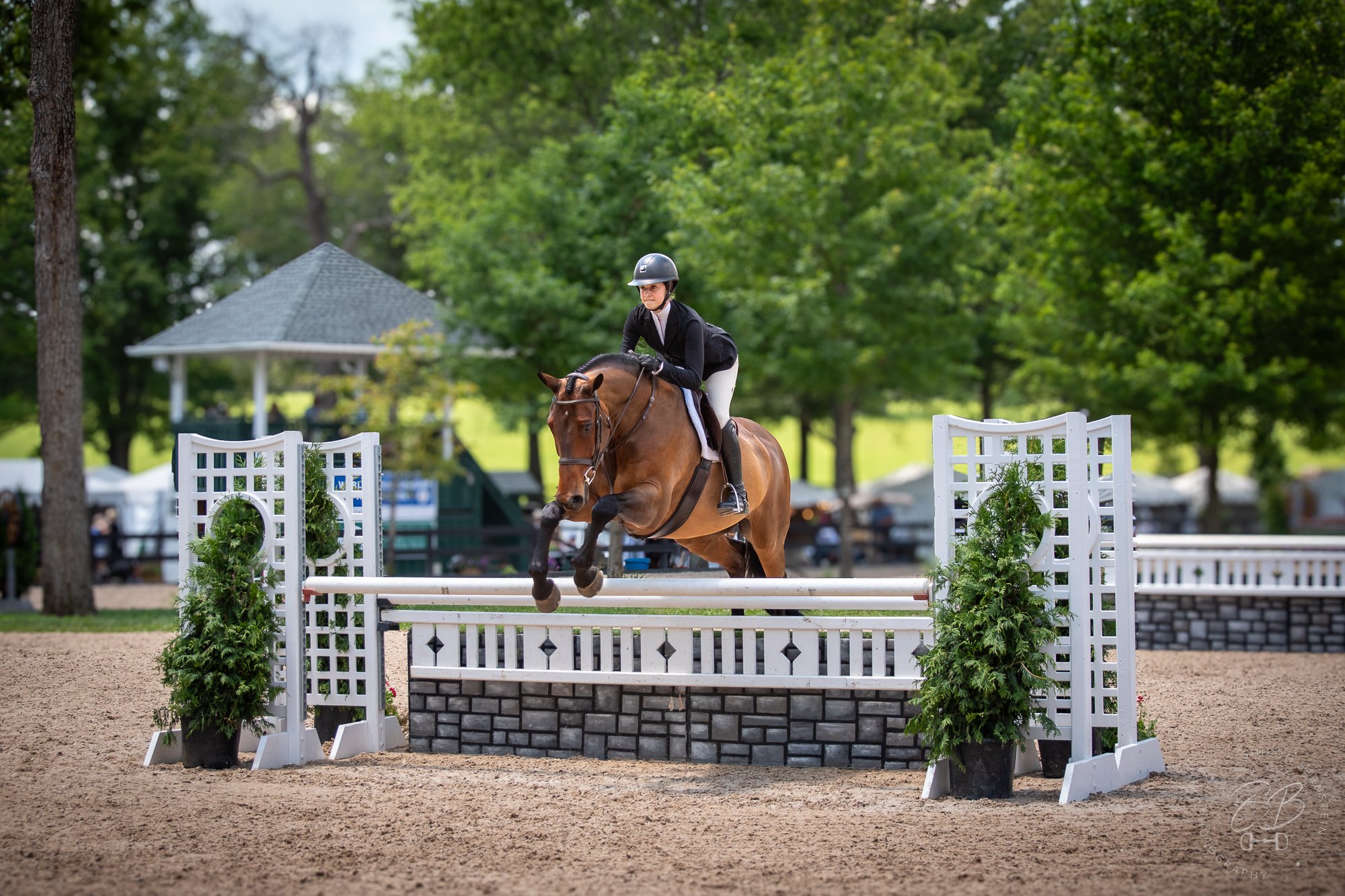 Horse rider and horse jumping over a white obstacle during an equestrian event, with green trees and a pavilion in the background.