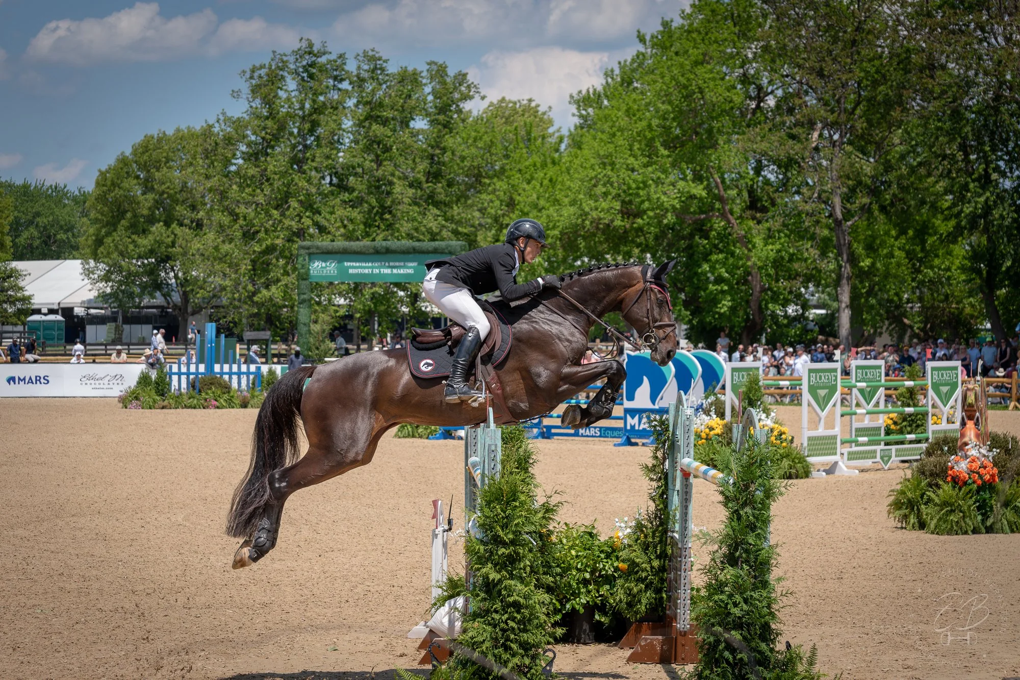 A rider in equestrian attire jumping a horse over an obstacle in a show jumping competition. The scene is outdoors with green trees and a crowd in the background.