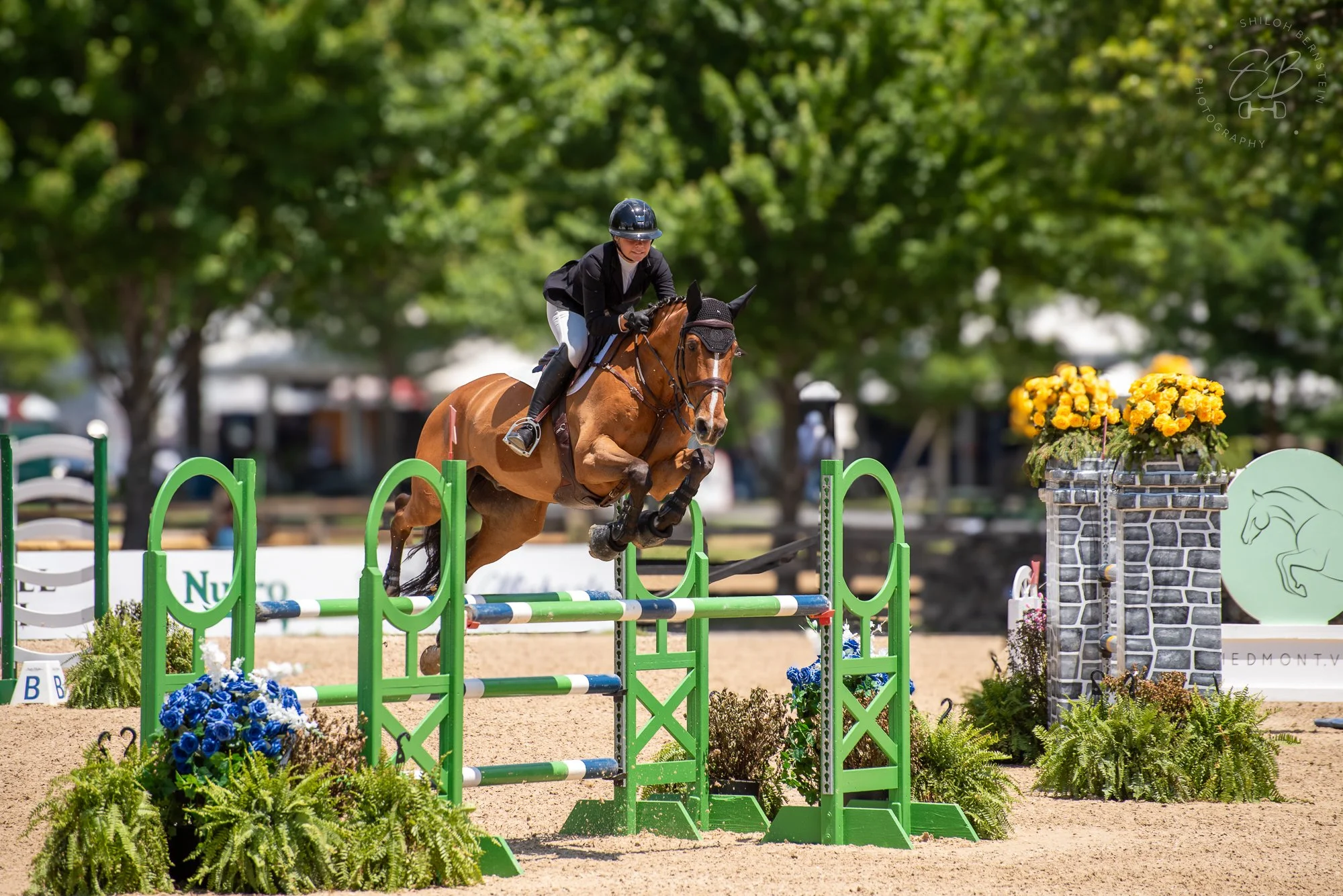 A female equestrian wearing a black helmet and jacket, white riding pants, and black boots, riding a bay horse with a black bridle, jumping over a green and white show jumping obstacle. The setting is outdoors with green trees and decorated flower ar