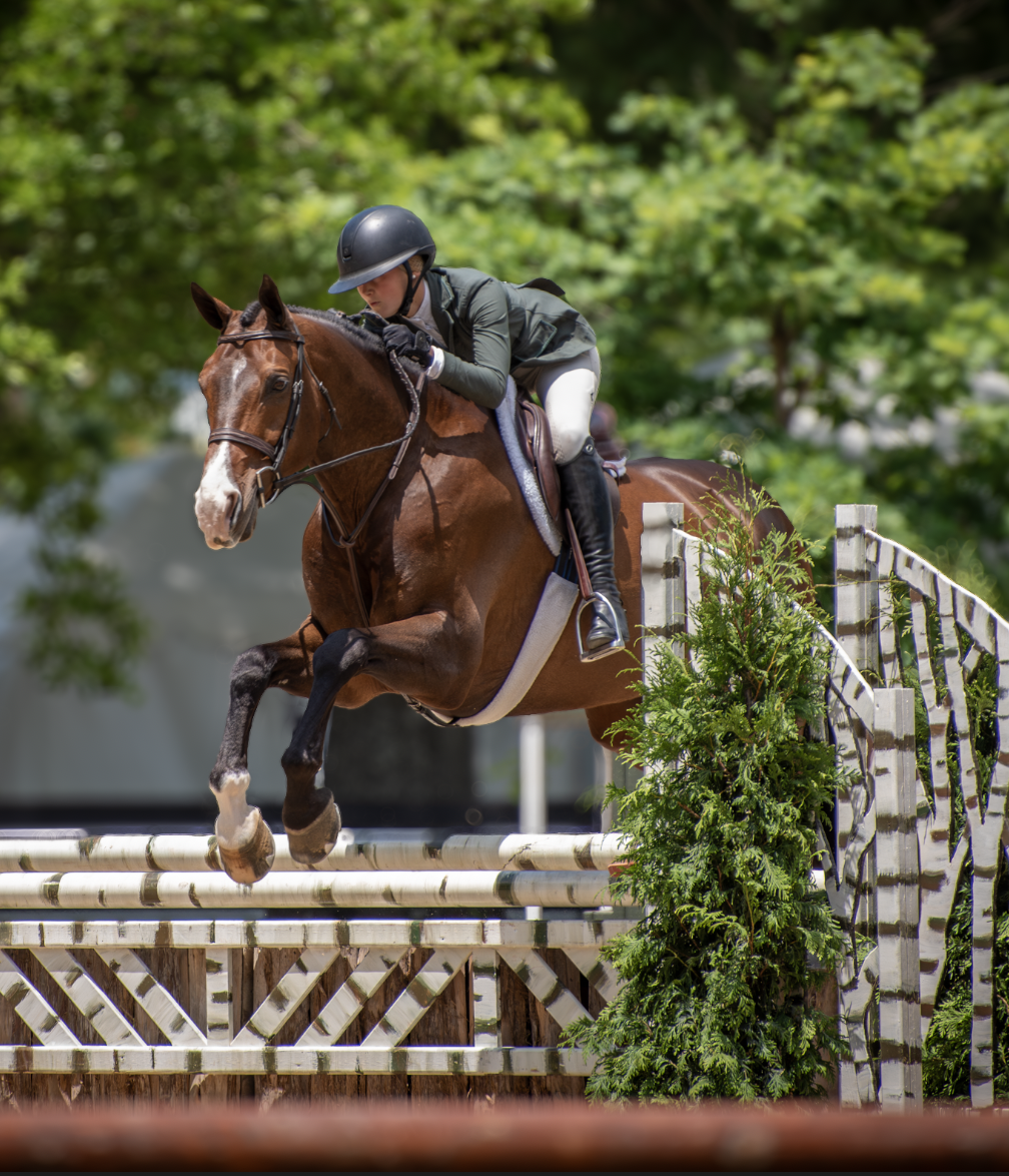 A young woman in equestrian gear riding a horse jumping over an obstacle during a show jumping competition, with green trees in the background.