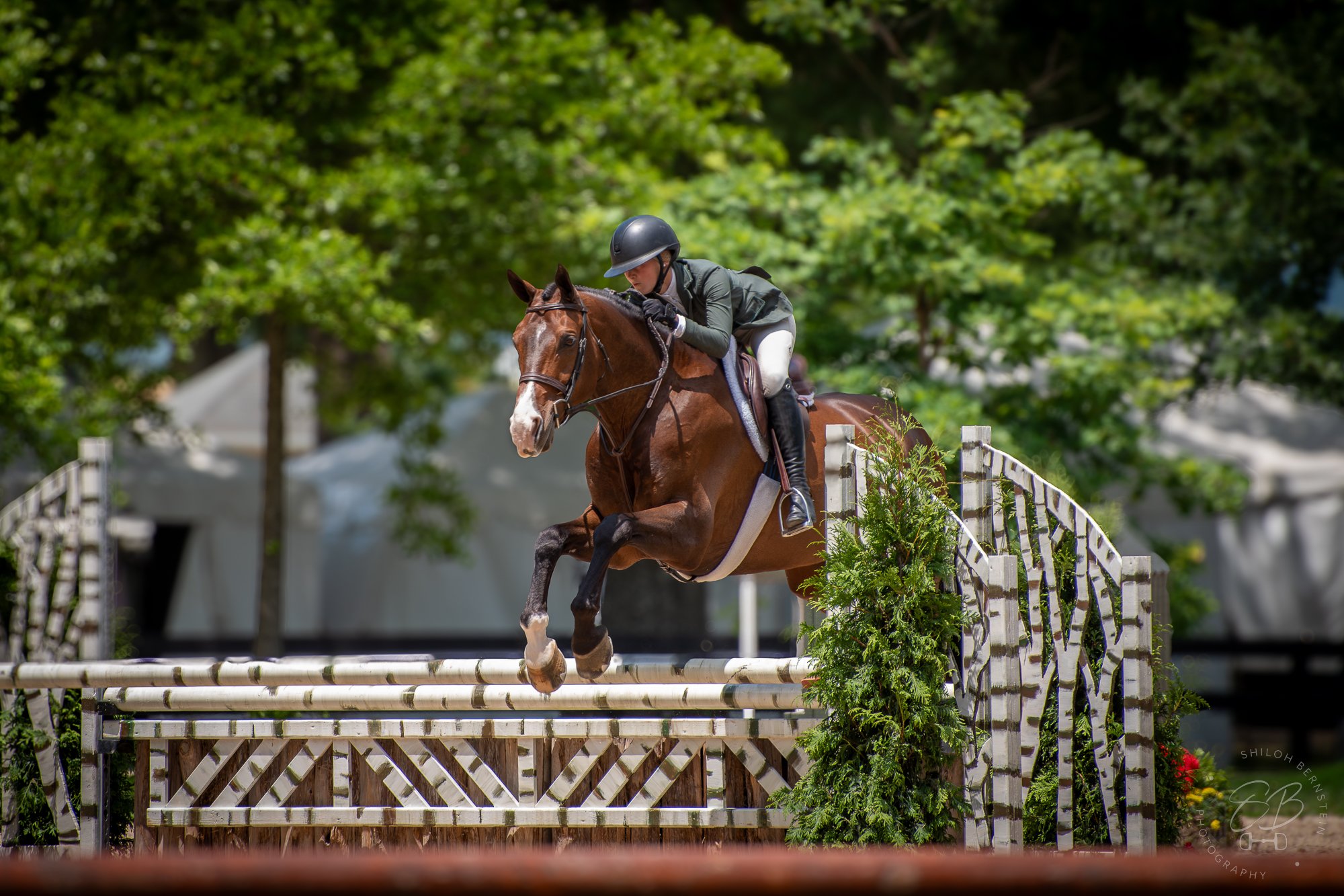 A rider in a green jacket and black helmet riding a brown horse over a show jumping obstacle decorated with greenery, with green trees in the background.