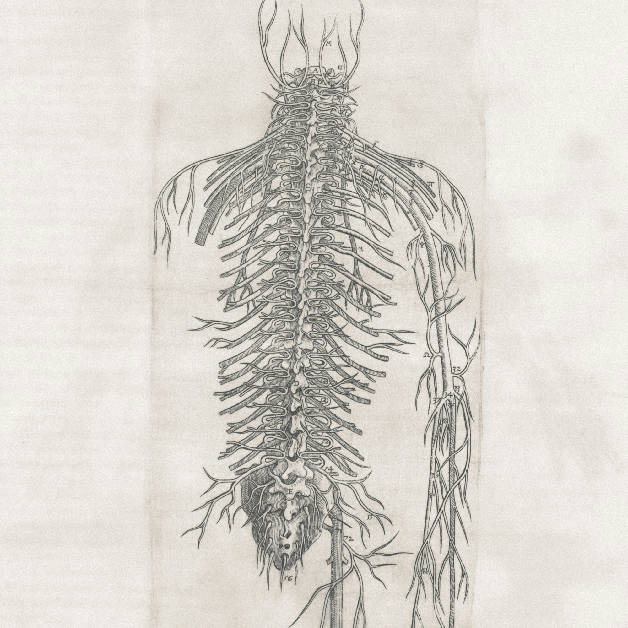 Holistic Reset Intensive