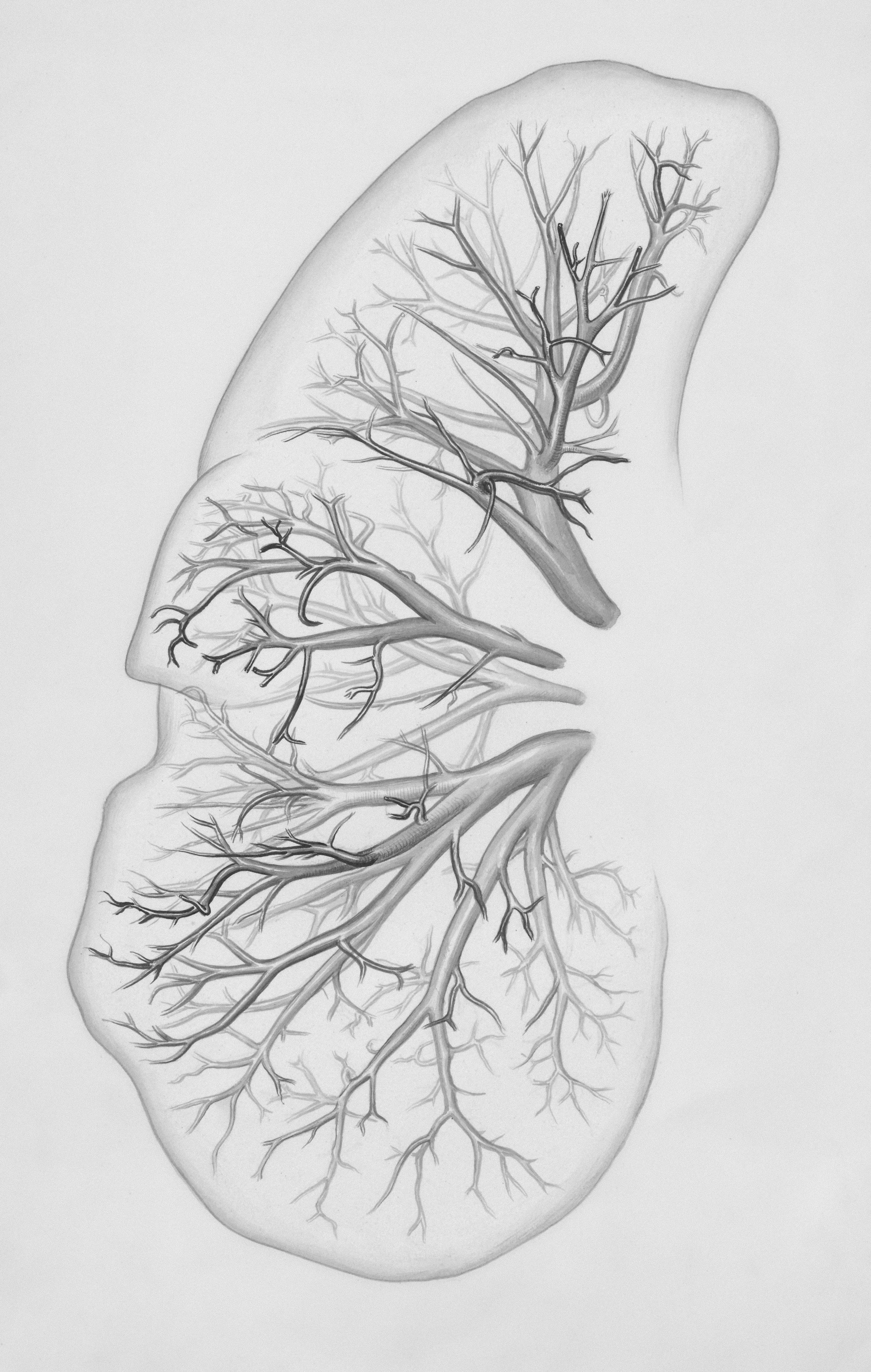 Mind-Body Regulation Intensive