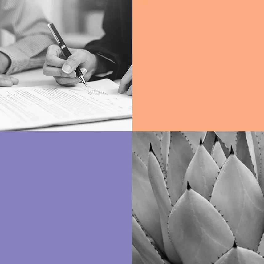 Four Square image, with person with pen in hand signing contract in upper left and agave plant on lower right.  Green square in lower left and red square in upper right.