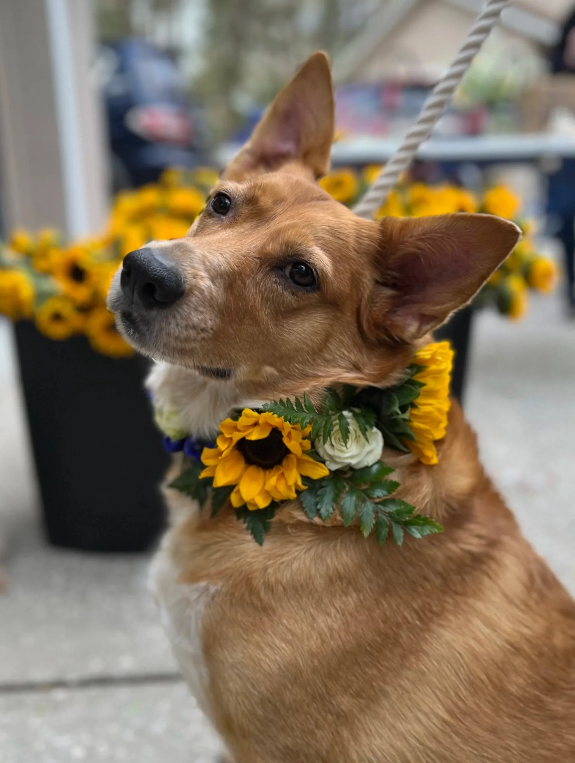 bridal accessories Tampa wedding florist