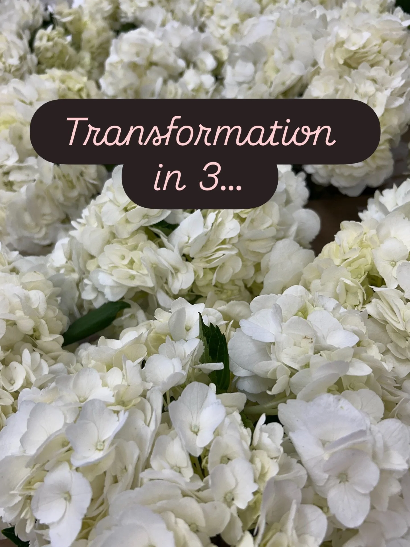 Just like magic ✨ 

Because sometimes the exact flowers aren&rsquo;t available, but the vision still is. I&rsquo;ll always find a way to make it happen. 

These white hydrangeas, turned pink &amp; blue, made their way to a wedding rehearsal dinner pl