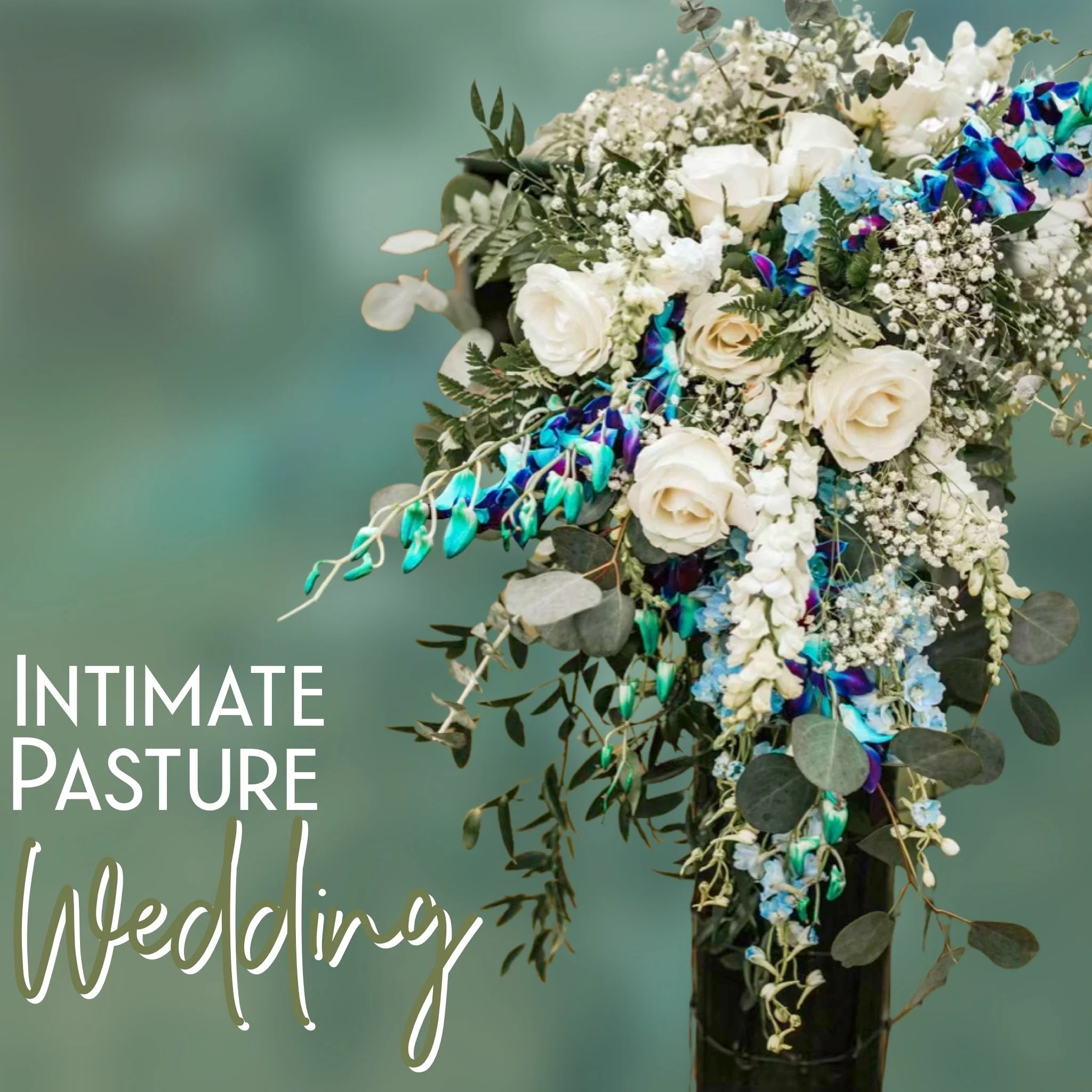 Open fields, fresh air, and flowers made for a love story like this one. 

Still thinking about this intimate pasture wedding 🩵