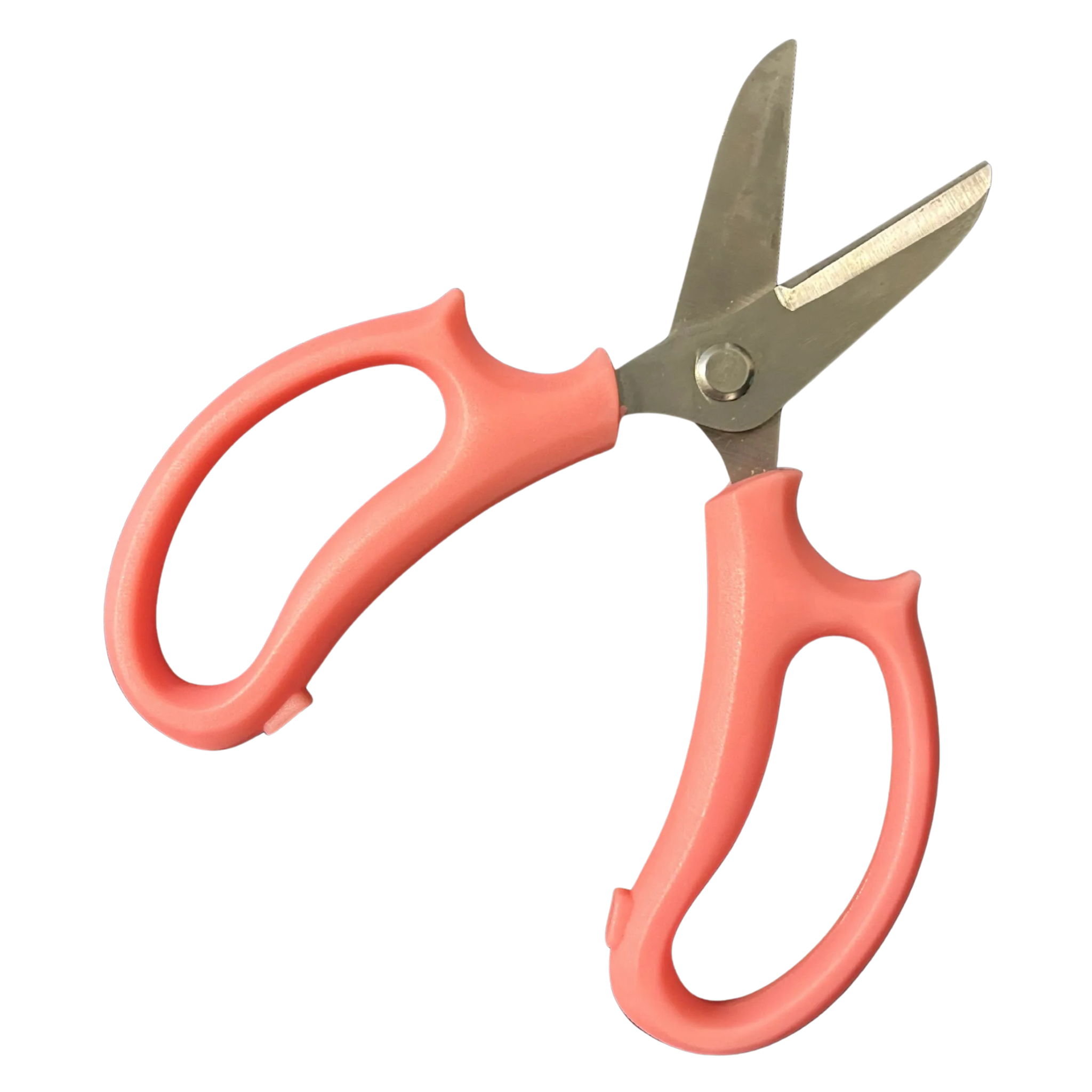 flower arranging party tools Tampa Bay petal party