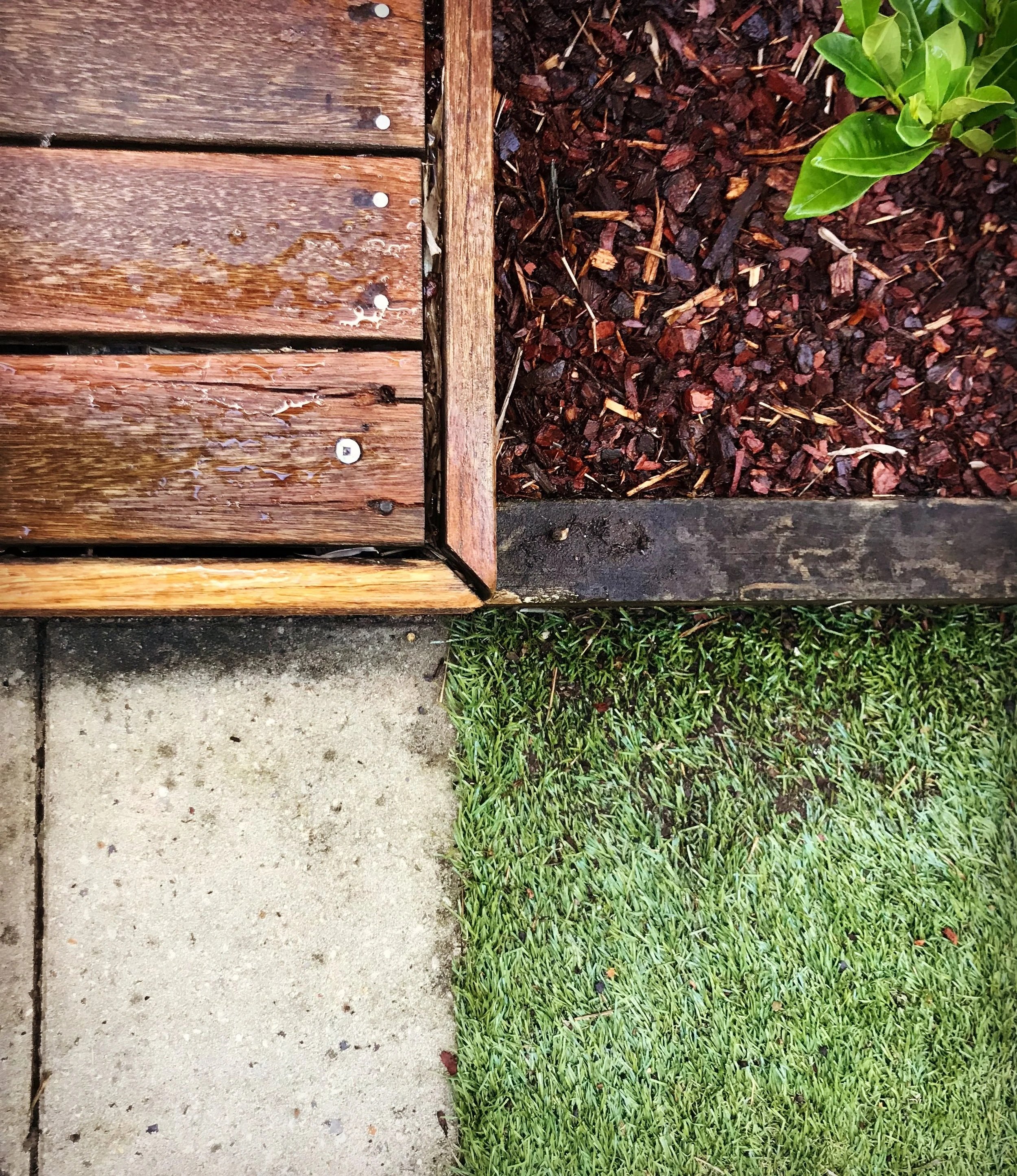 A close-up of a garden area with a concrete sidewalk on the left, a wooden deck above the sidewalk, a bed of reddish-brown mulch to the right of the deck, green grass below, and a green plant with shiny leaves growing in the mulch.