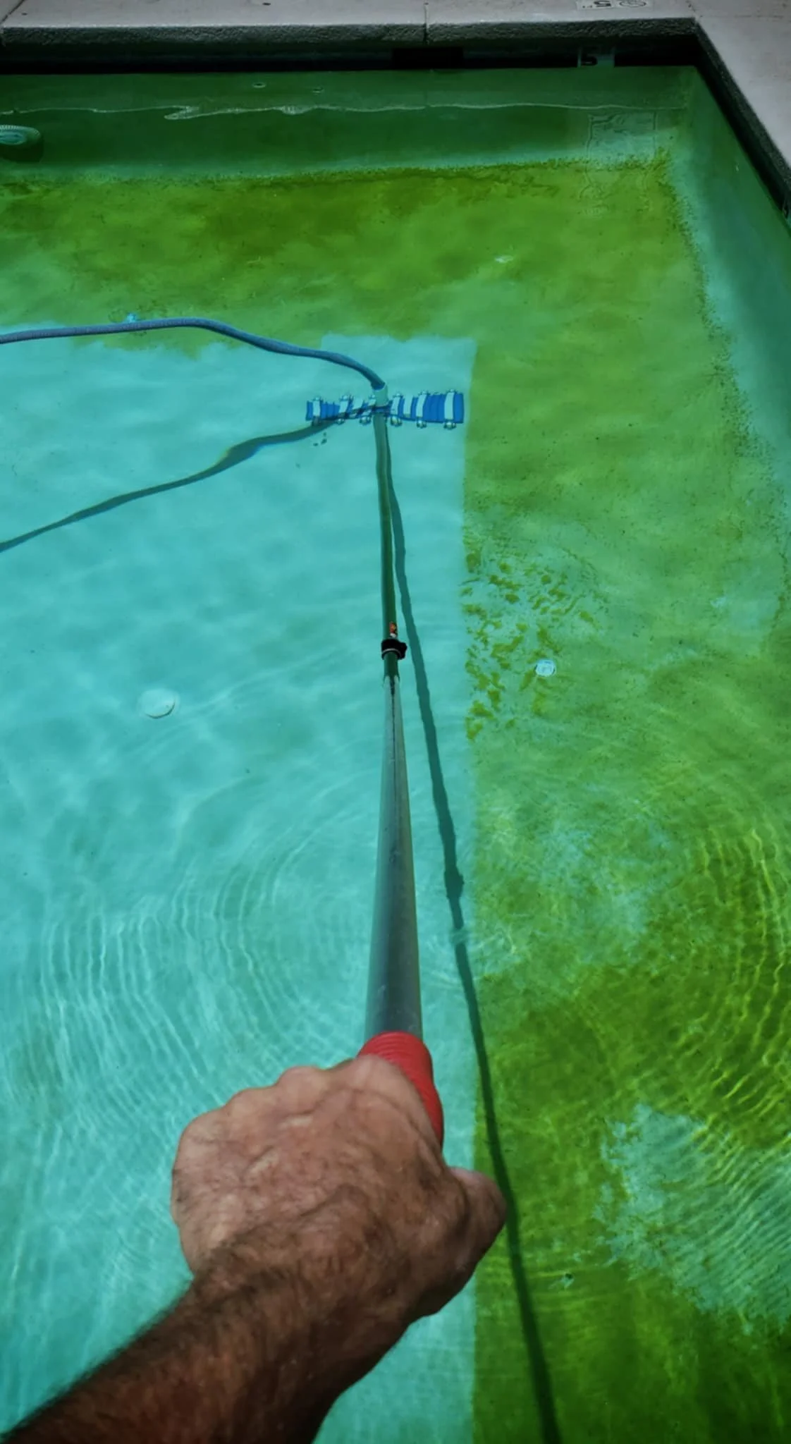 Vacuuming the pool to get back to sparkling.