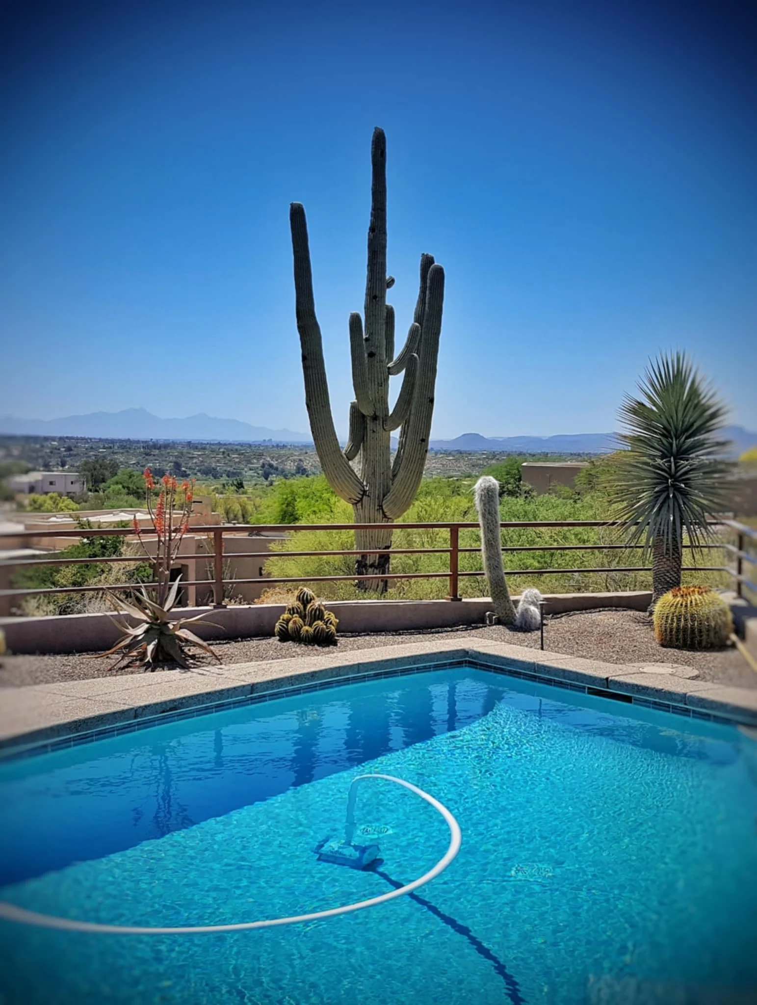 Residential backyard pool.