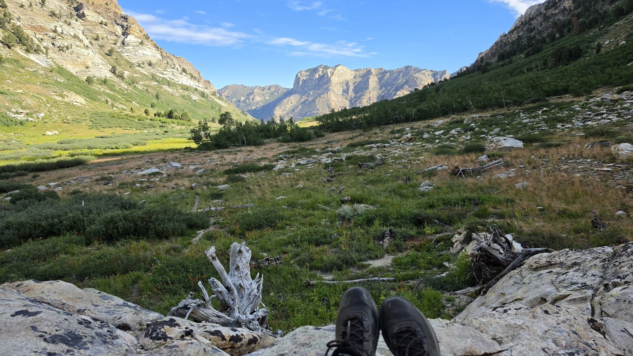 Two Miles Daily — Issue 043 What the Ruby Mountains Taught Me About Business
