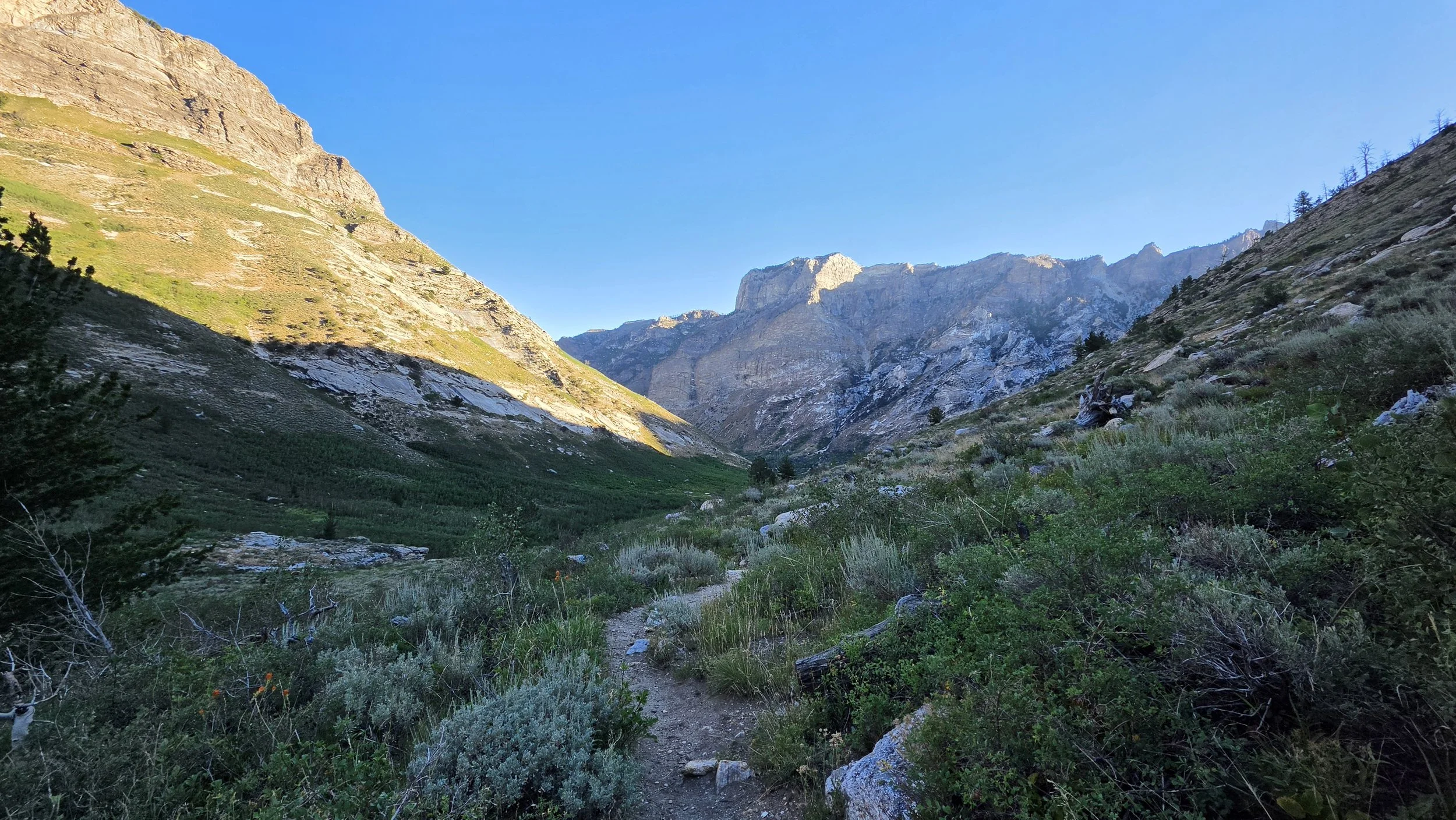 Two Miles Daily — Issue 044 The Trail Doesn't Care About Your Title