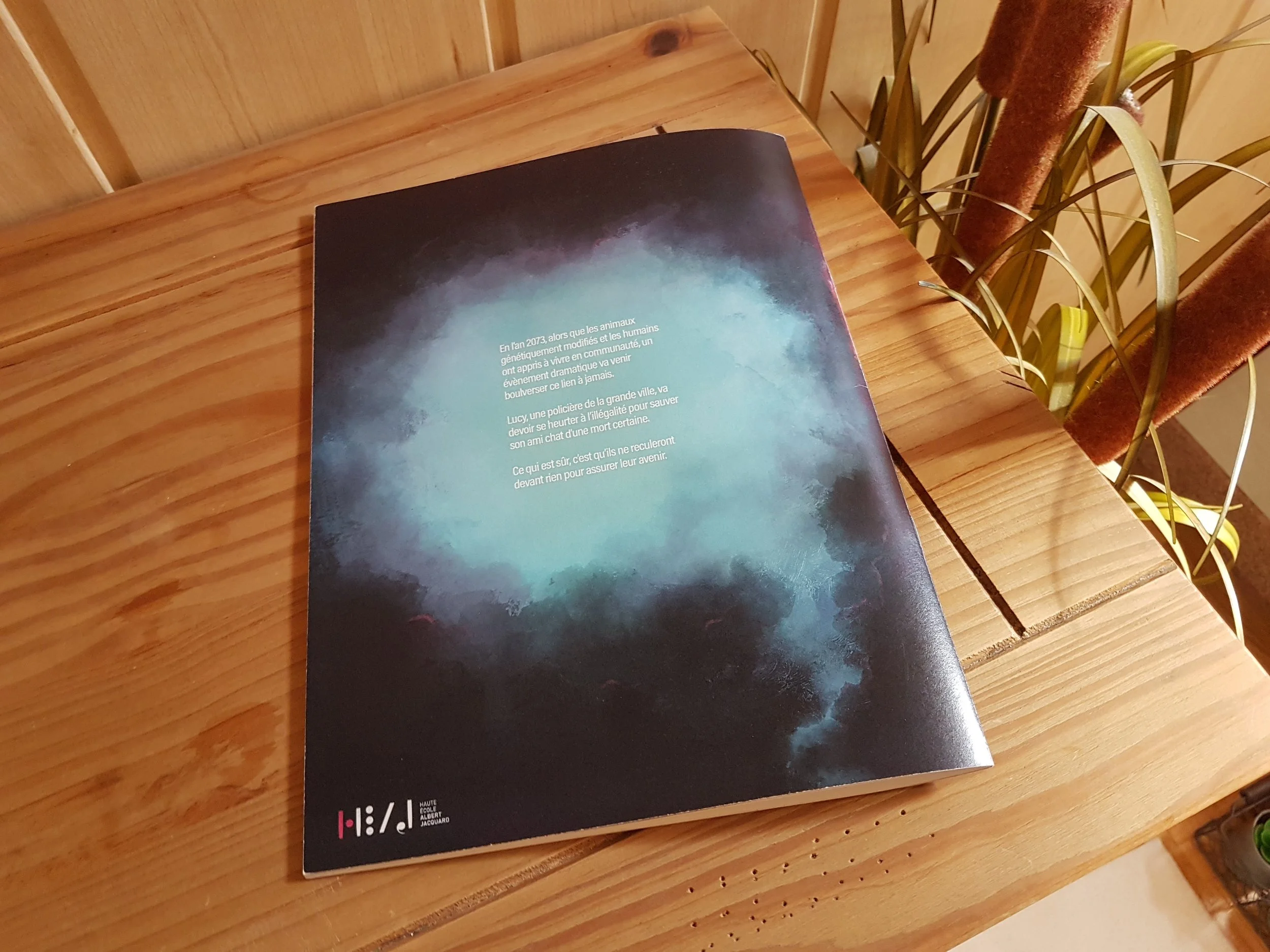 Photo de la 4ème de couverture de la bande-dessinée "GENESIS".