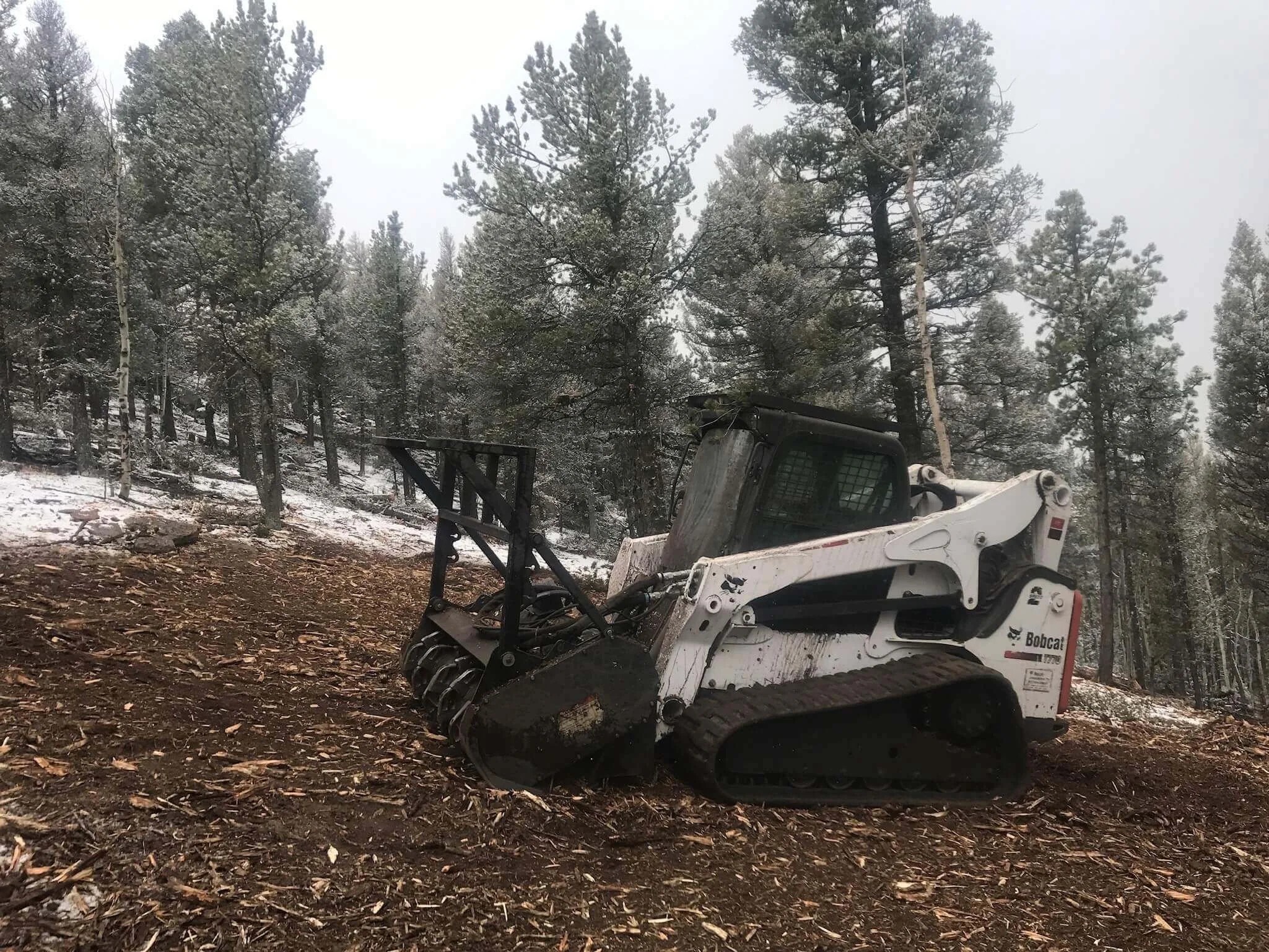 Skid steer clearing vegetation for wildfire mitigation in a Colorado forest