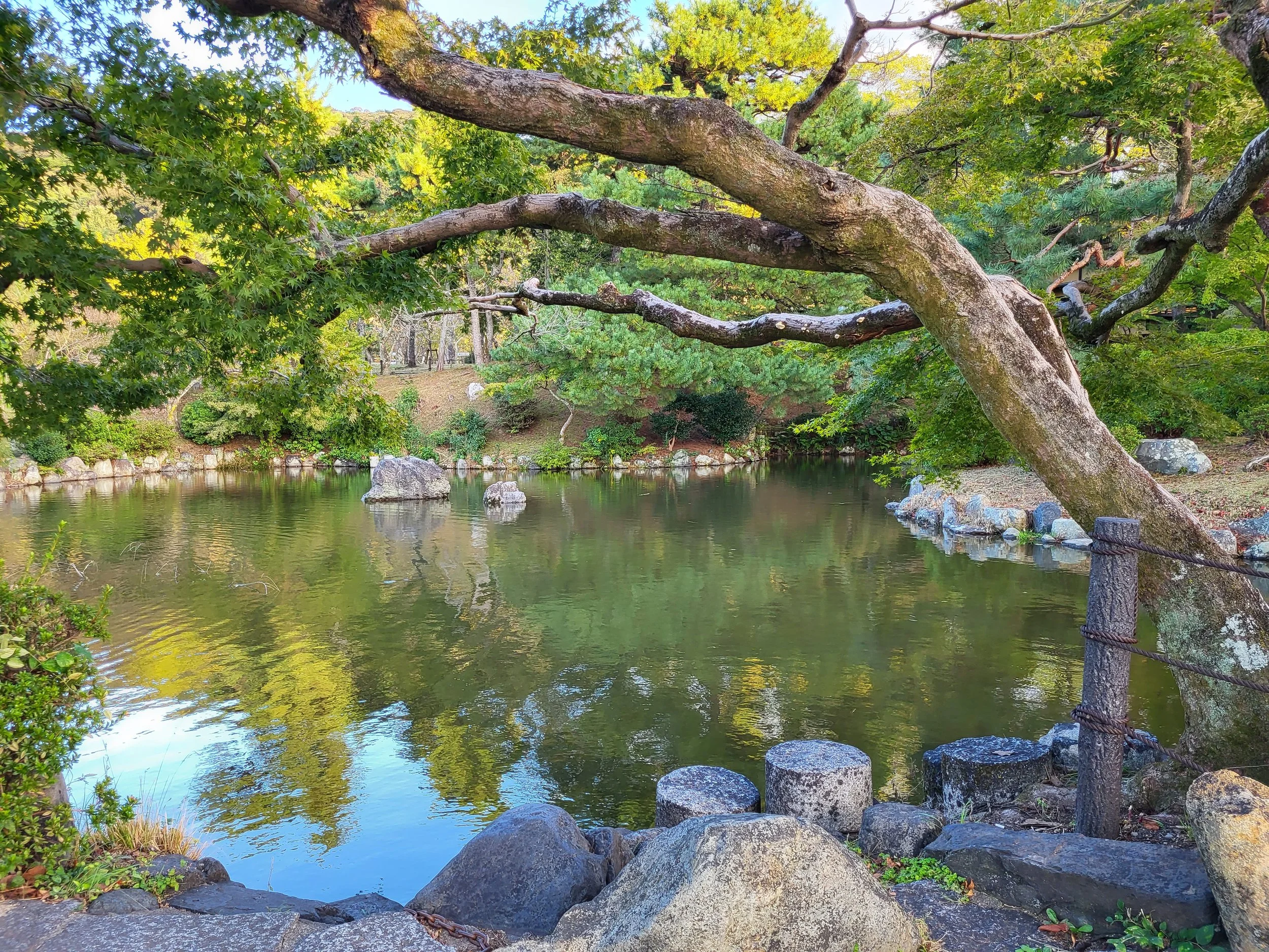 IFS and EMDR Deep Dive Intensive