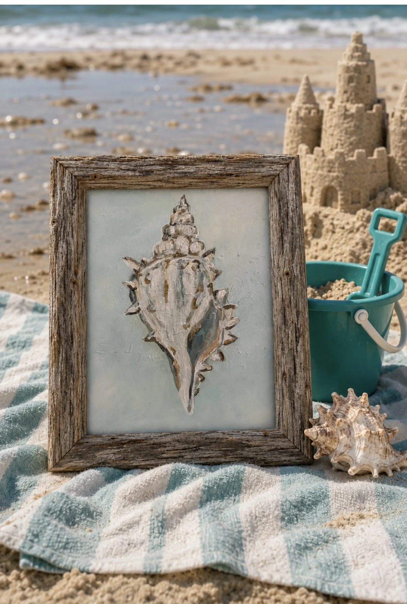 Spiny  Conch