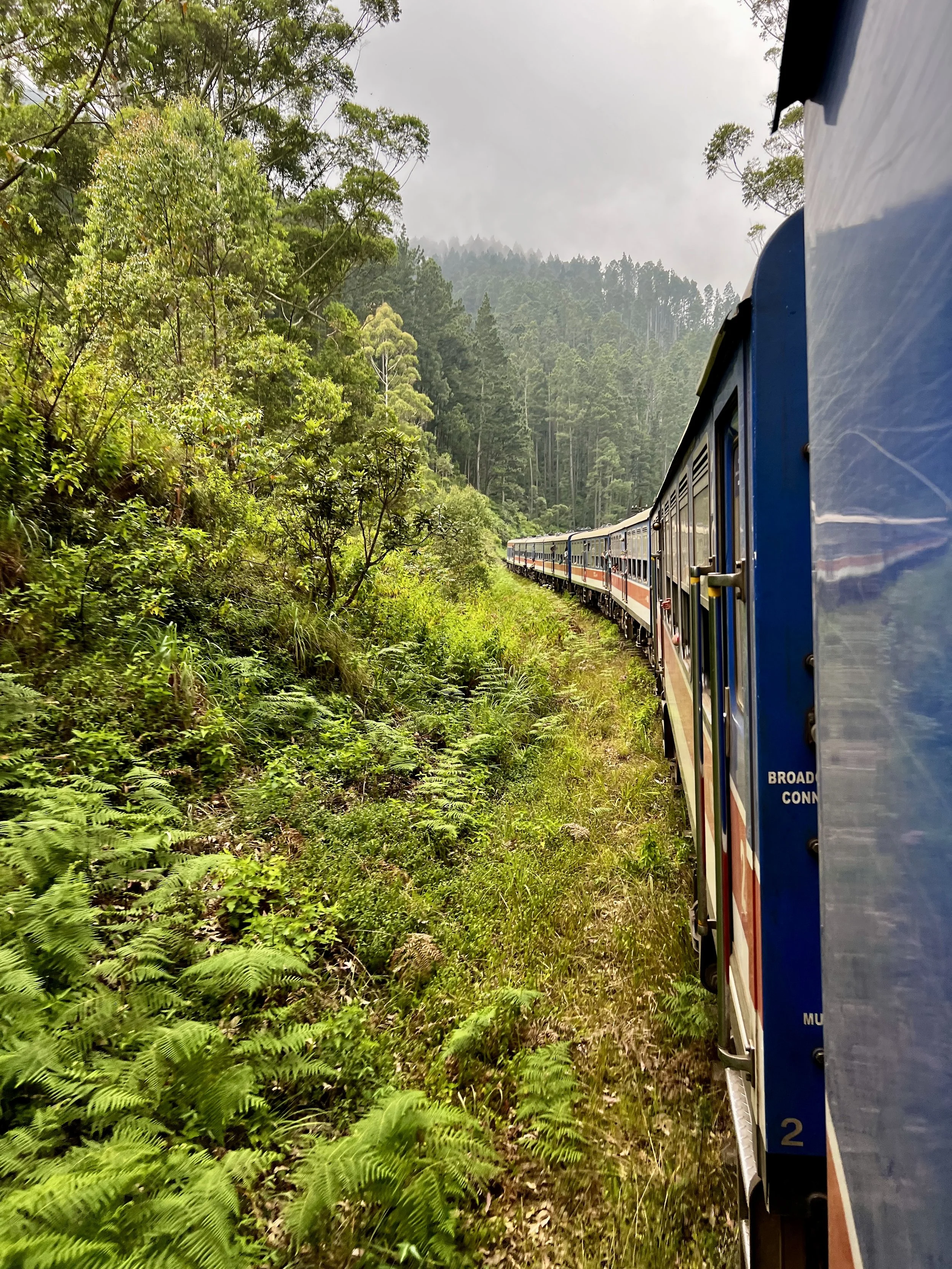 Winding through dense green and quiet hills, where the journey becomes the destination.