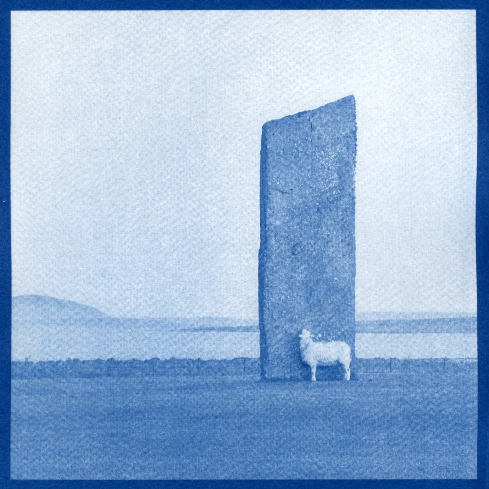 Standing Sheep of Stenness (cropped).jpg