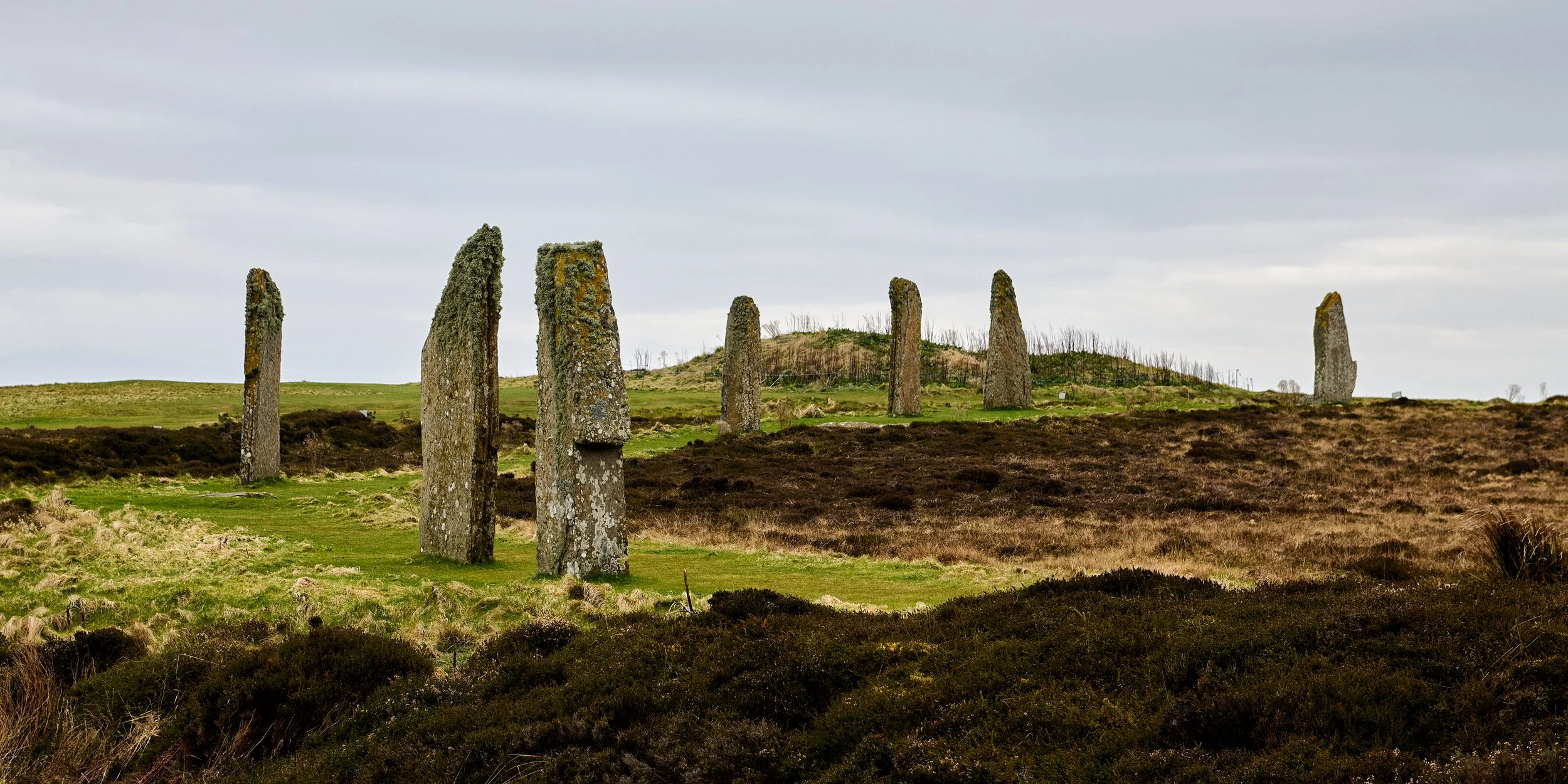 2025-04-12-ScotlandTrip-_DSC3556 1.jpg