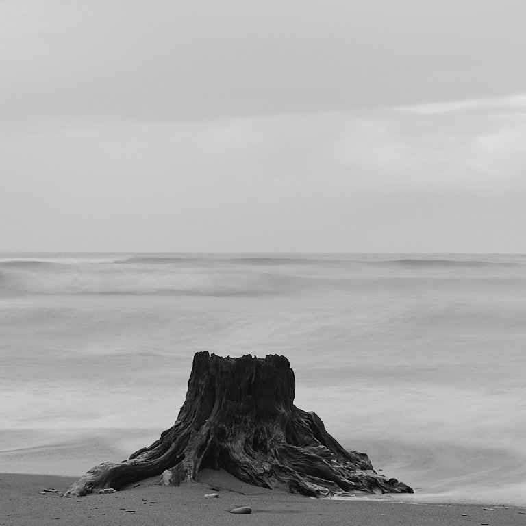Westcoast Stump